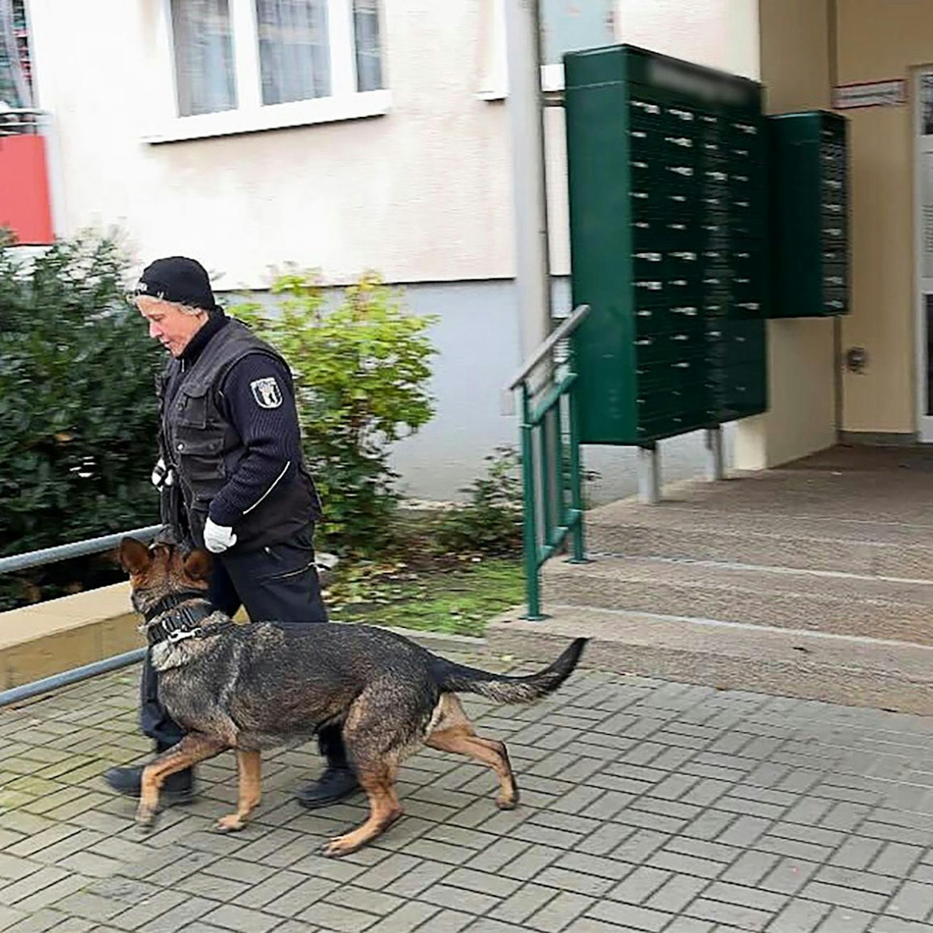 Mit Spürhunden „Bella“ und „Nara“ im Einsatz gegen Kinderpornografie