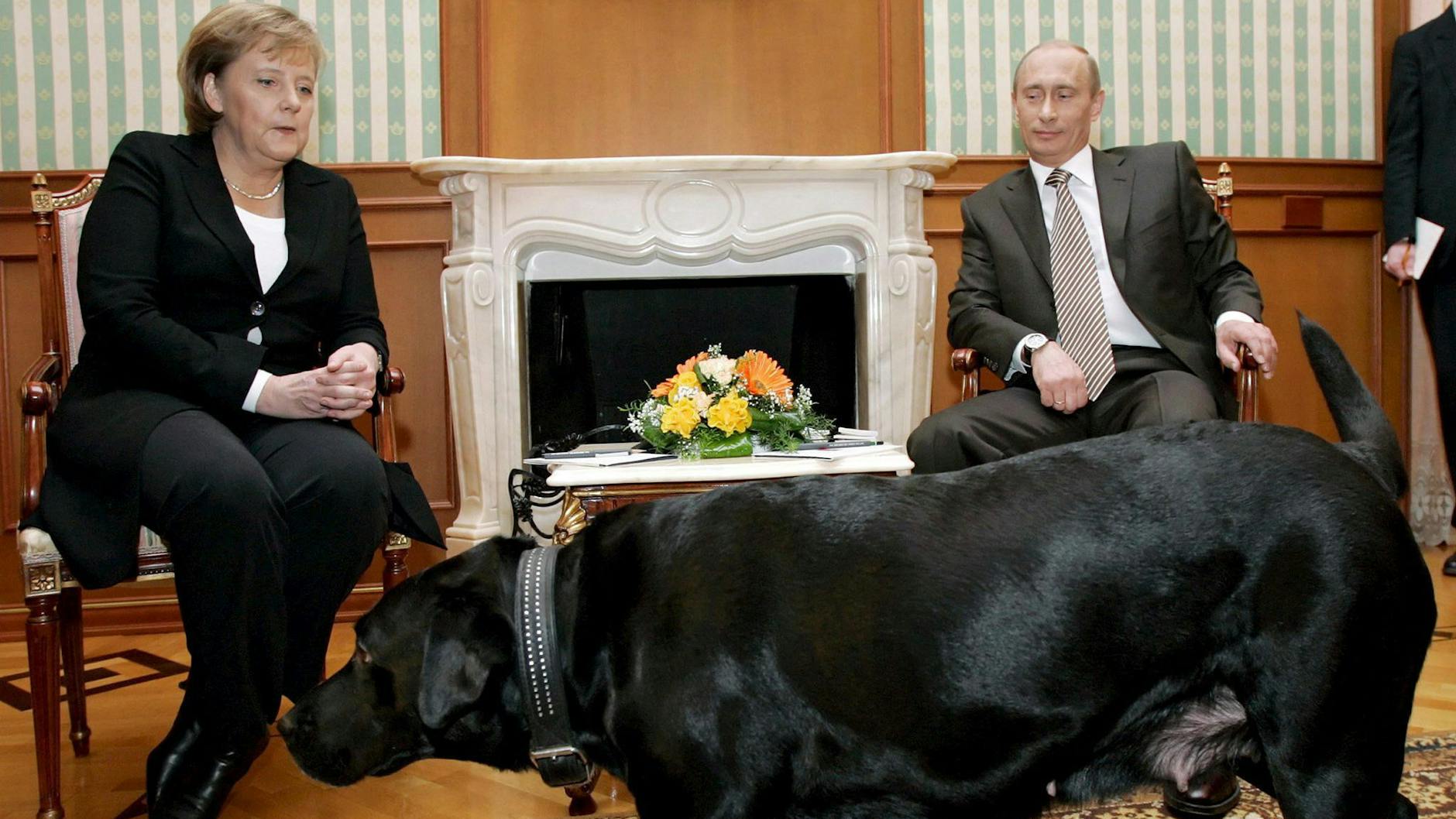 Beim Treffen mit Merkel in Sotschi ließ Putin seine Labrador-Hündin dazukommen. Er wusste, dass die Kanzlerin Angst vor Hunden hat.