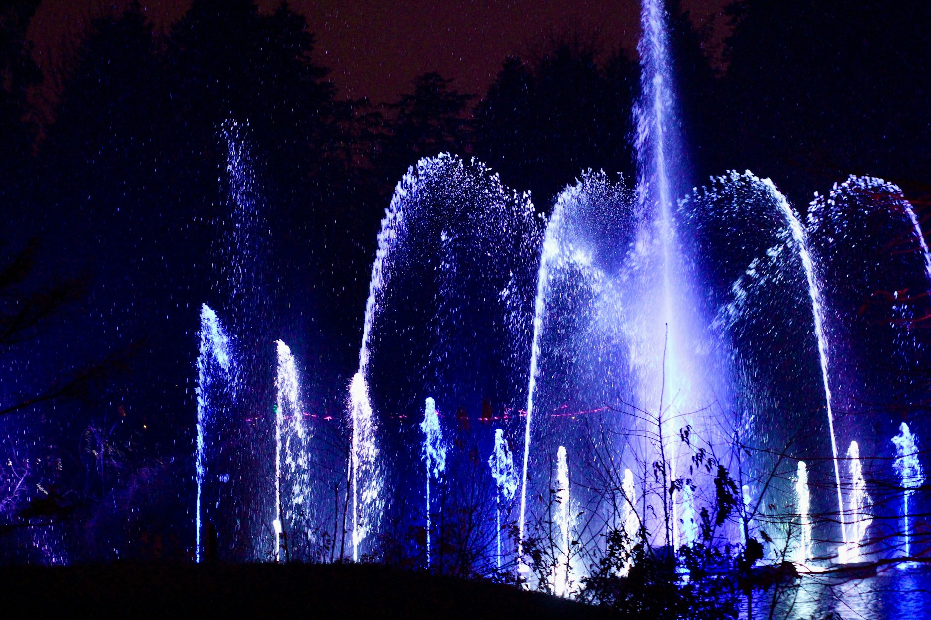 Der Christmas Garden Berlin findet vom 20. November 2024 bis zum 12. Januar 2025 im Botanischen Garten statt. Die Eintrittspreise für Erwachsene gibt es auch im Vorverkauf, Kinder bis einschließlich 5 Jahre haben freien Eintritt.