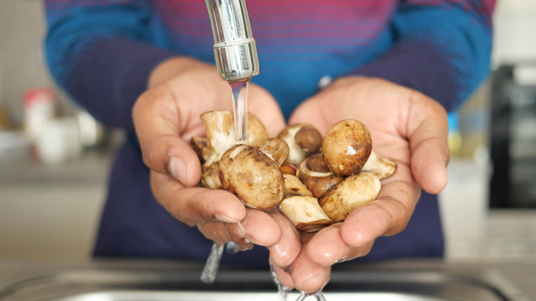 Zum Putzen sollte man Champignons mit einem Küchenpapier abreiben und nur im absoluten Notfall mit Wasser waschen. Sie saugen sich mit Wasser voll und verlieren ihr Aroma.