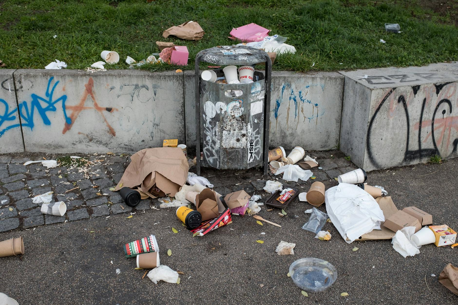 Ein Fest für Ratten und Krähen – und auch Stadttauben gefällt’s!