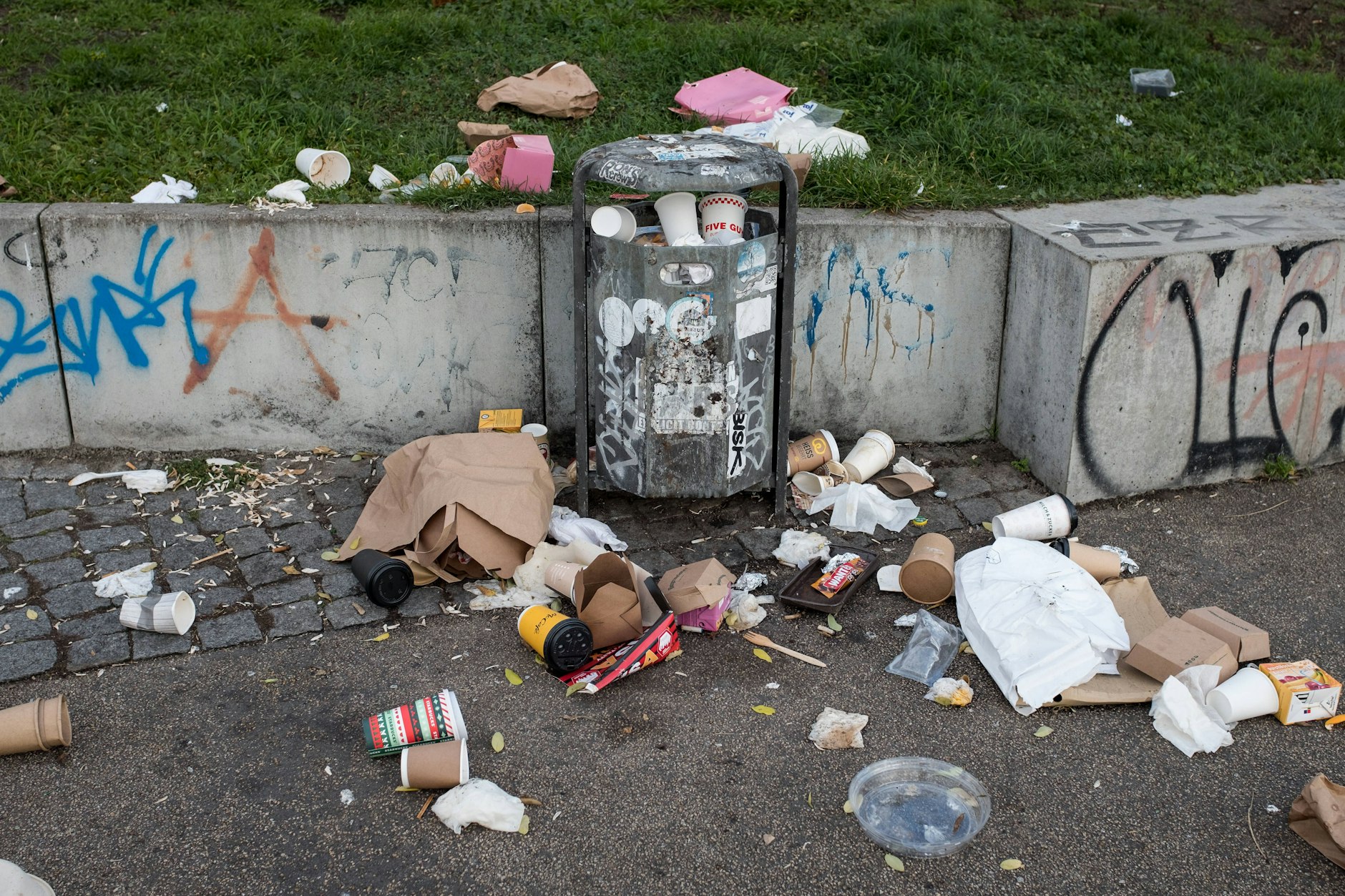 Ein Fest für Ratten und Krähen – und auch Stadttauben gefällt’s!