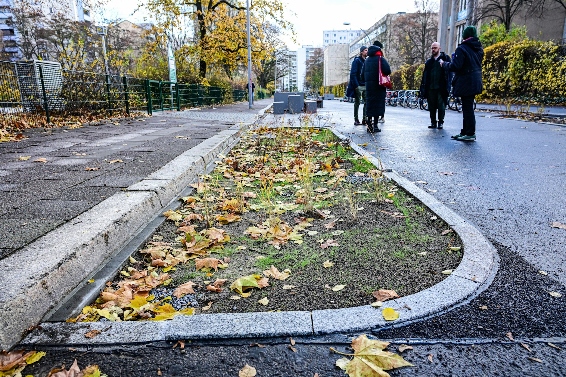 In Berlin-Mitte wurden sogenannte Grüne Gullys eingeführt. Das Regenwasser soll über die entsiegelten Flächen versickern.