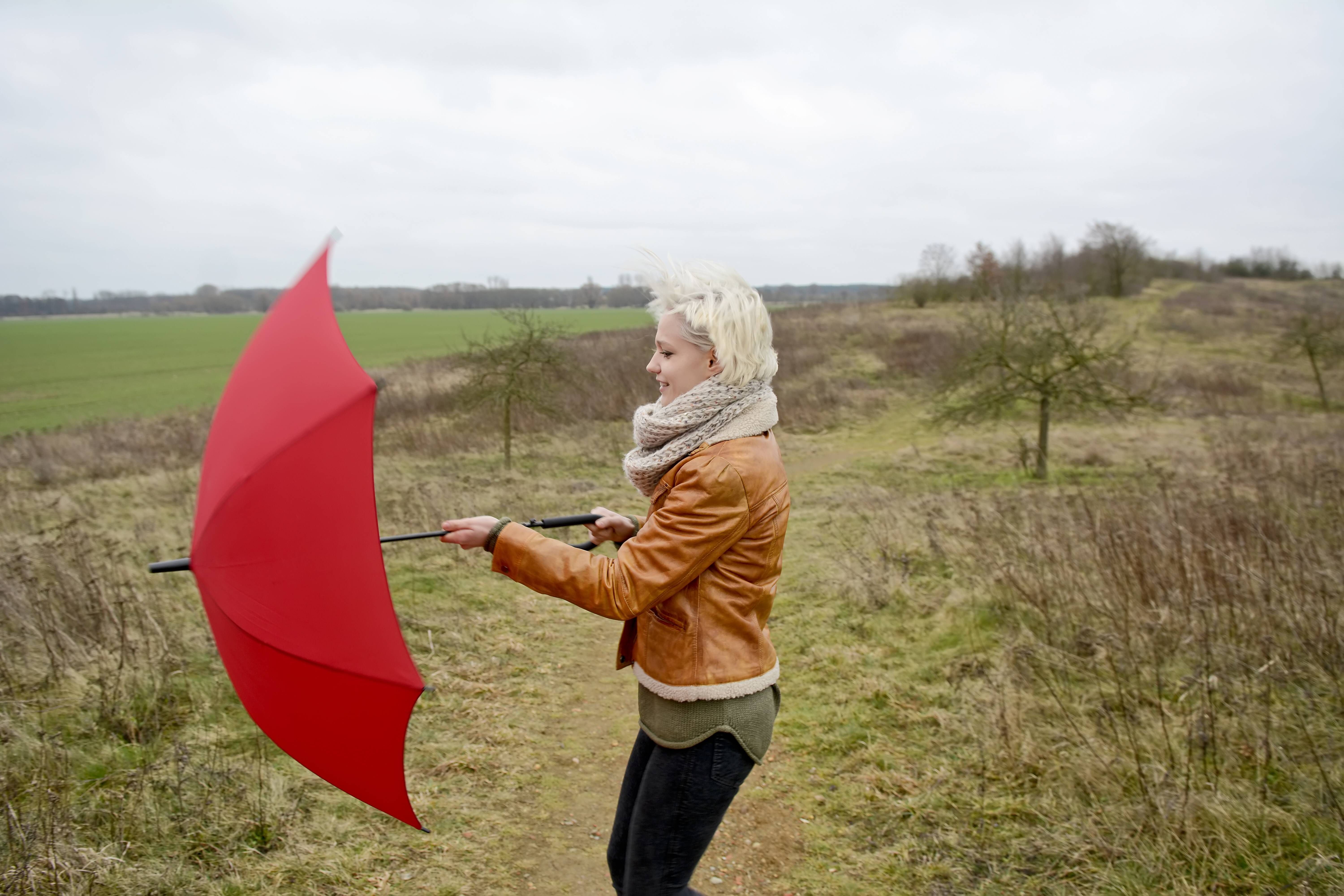 Horoskop für den Stier für die vierte November-Woche: Geld, Liebe und Co.