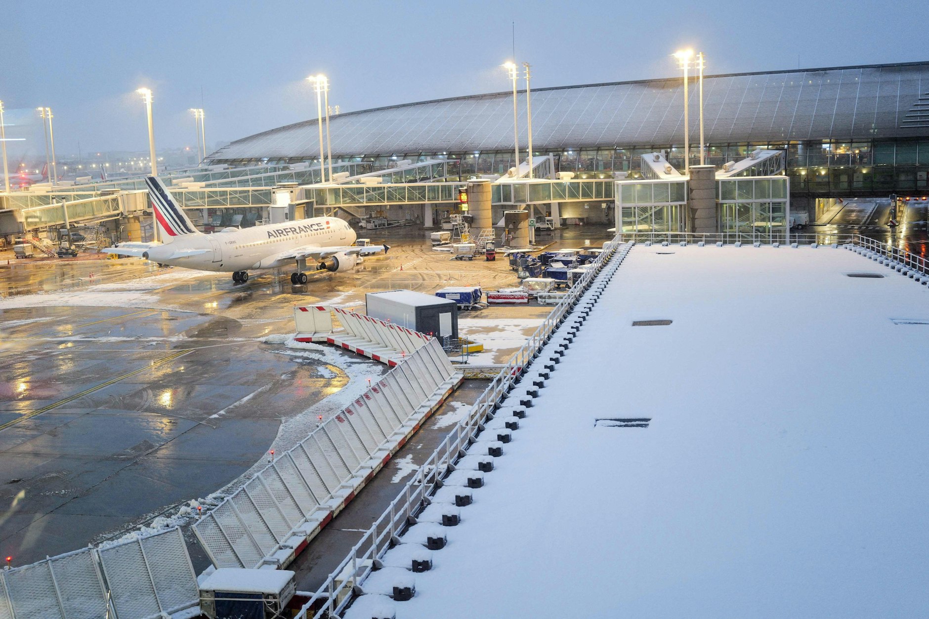 Hier auf dem Flughafen Charles de Gaulle in Paris ging die Hündin stiften.
