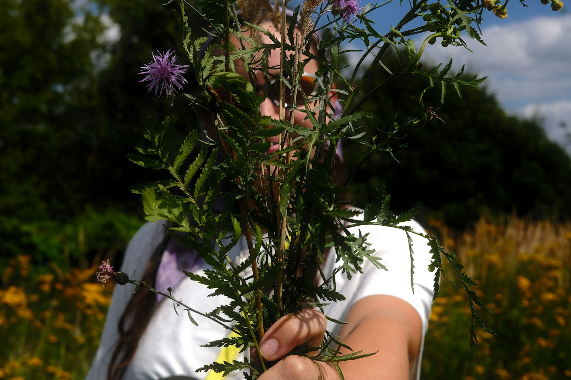 Beim Cozy Hiking Club geht es nicht darum, am schnellsten zu sein. Es bleibt genug Zeit zum Blumenpflücken.