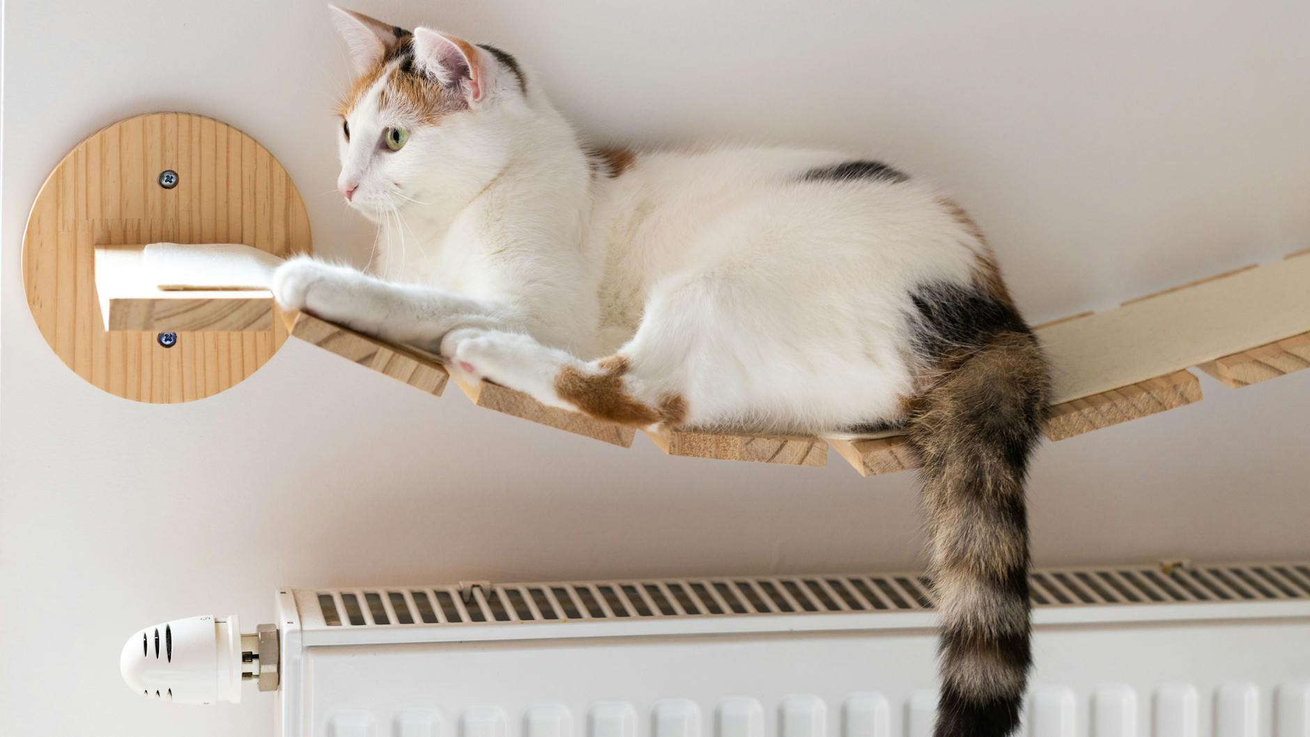 Über ein warmes Plätzchen über der Heizung freut sich die Katze. Bei der Gestaltung können, wie hier, Heimwerker kreativ werden.