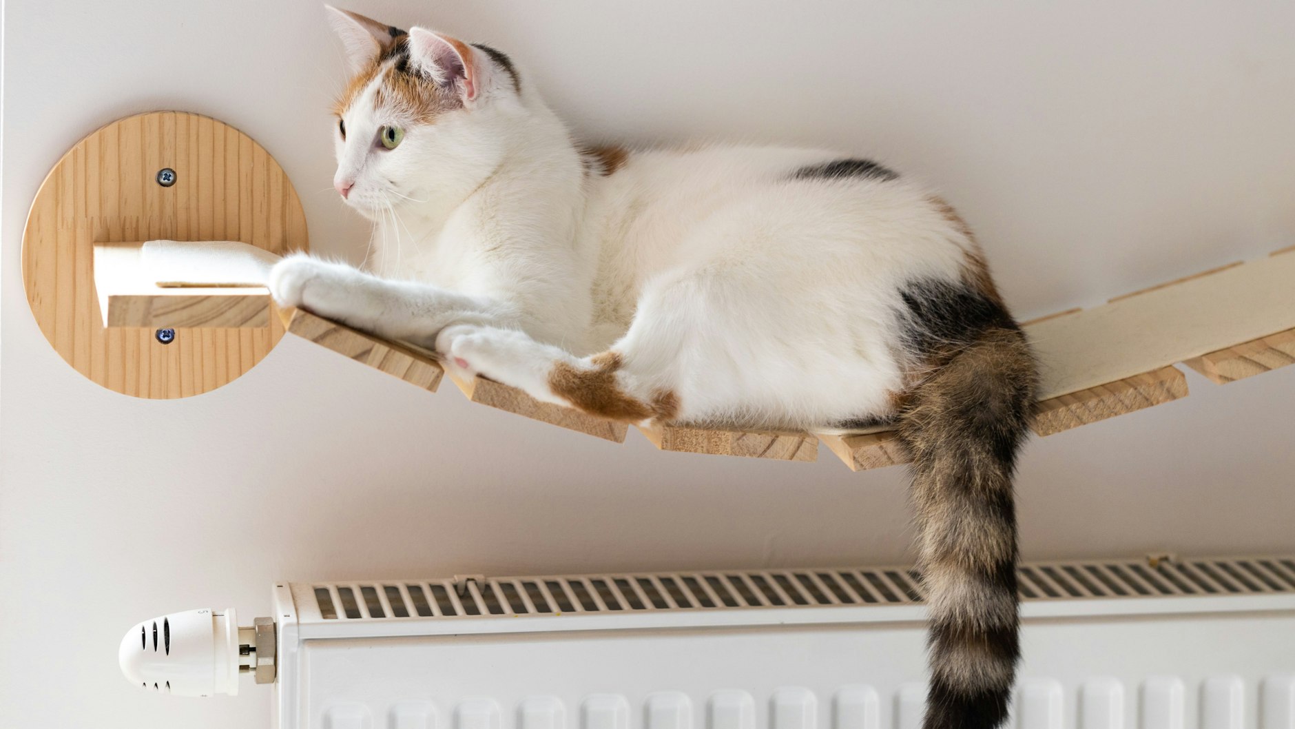 Über ein warmes Plätzchen über der Heizung freut sich die Katze. Bei der Gestaltung können, wie hier, Heimwerker kreativ werden.