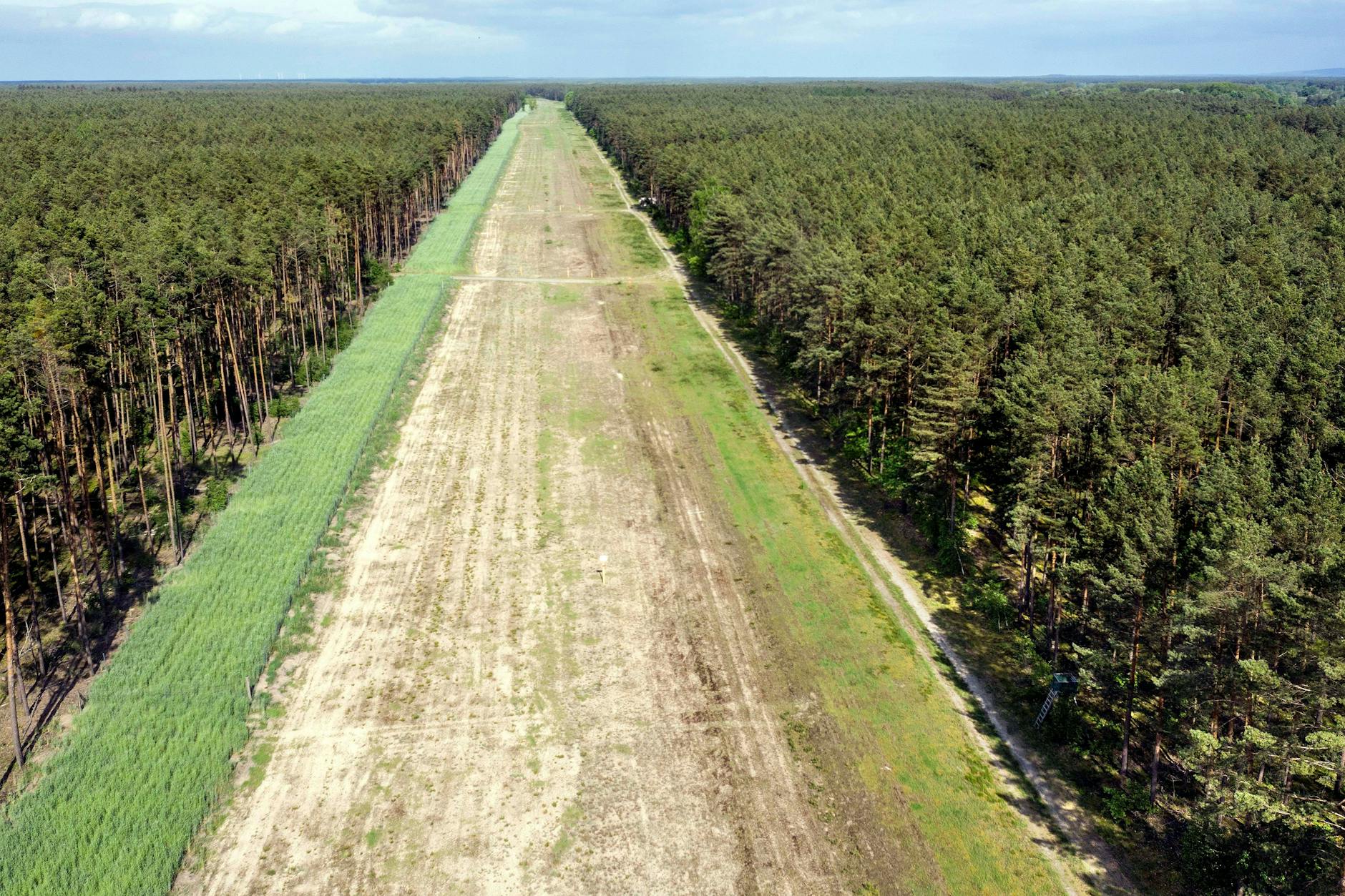 Eine Schneise im Wald zeigt den Verlauf der Eugal-Pipeline im brandenburgischen Grünheide. Zukünftig wird hier Wasserstoff von der Ostsee bis nach Dresden fließen.