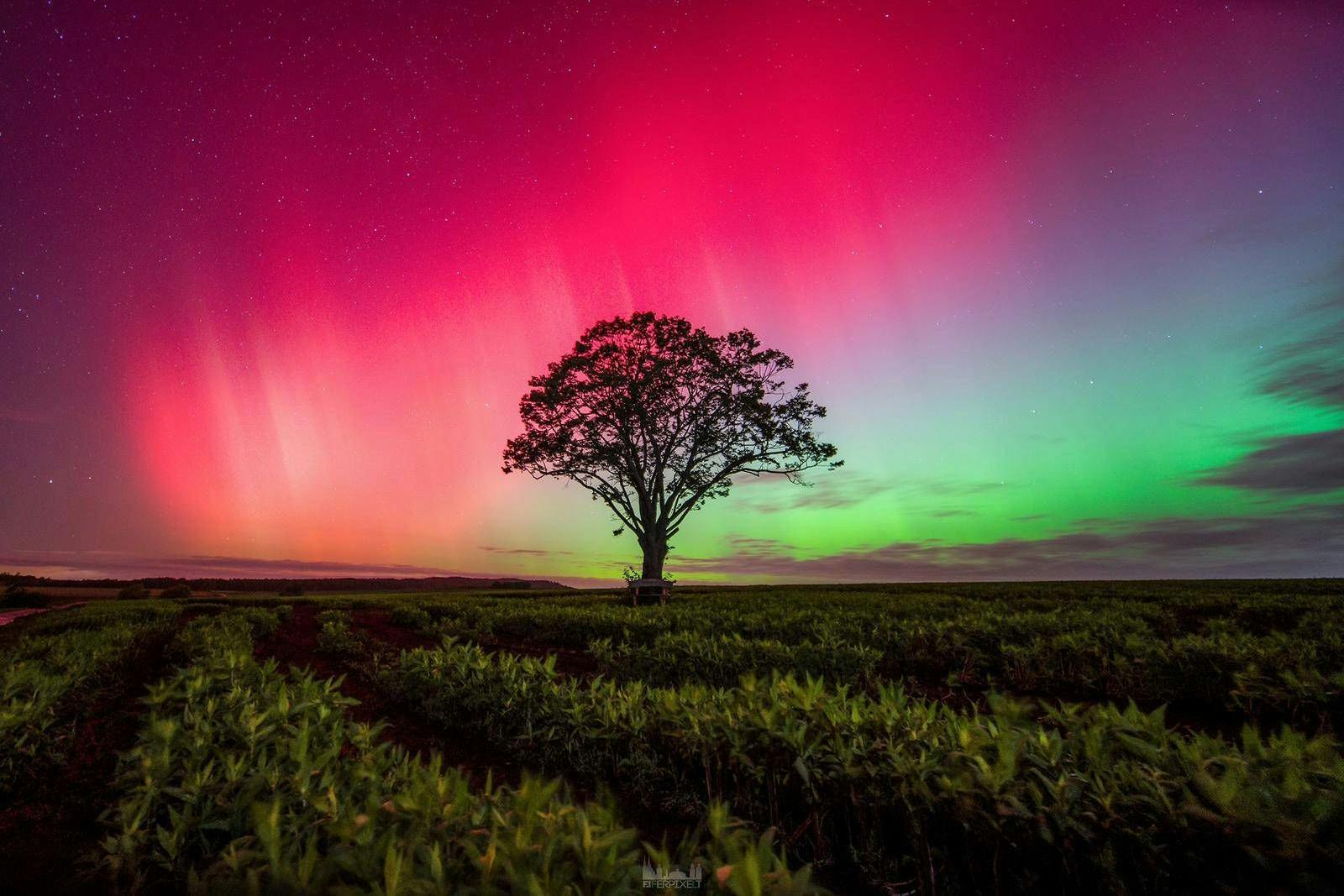 Die Ehrfurcht vor der Natur ging mit der Aufklärung verloren