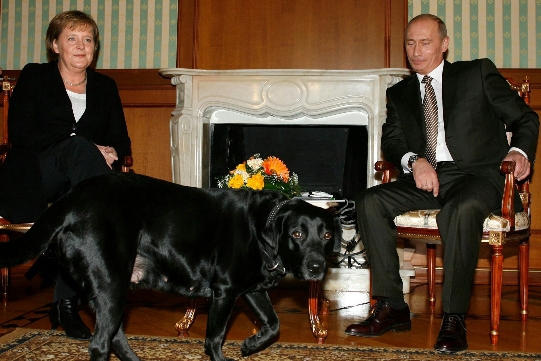 Angela Merkel, Wladimir Putin und Labrador Koni bei einem Treffen in Sotschi.