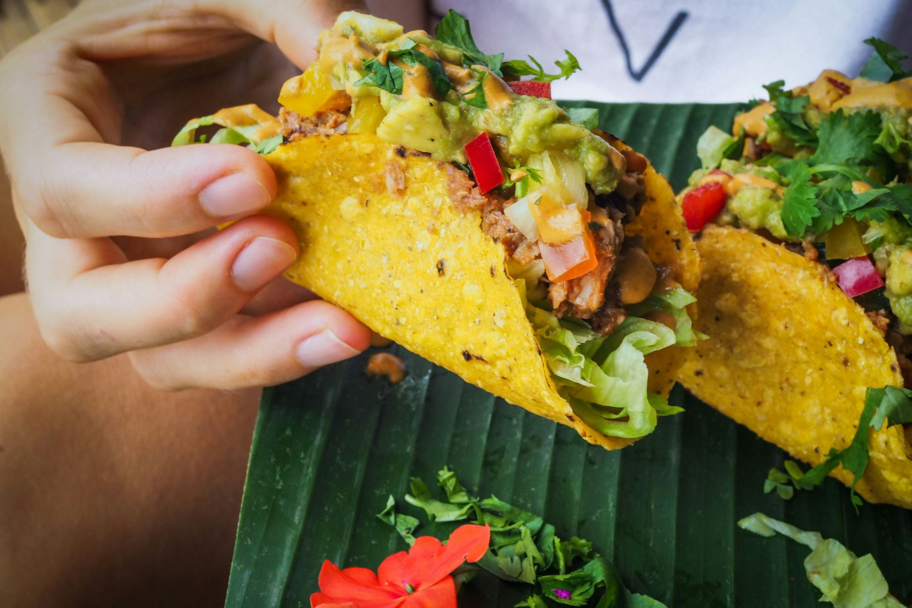 Jackfruit-Tacos sind schnell gemacht und superlecker.