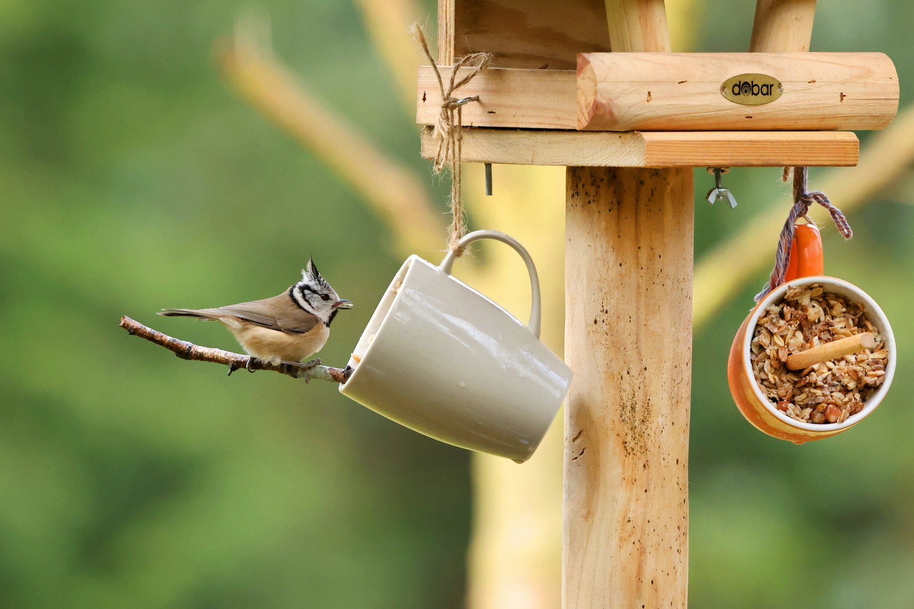 Selbstgemachtes Vogelfutter wurde hier in ausrangierte Tassen gefüllt. Das macht die Aufhängung einfach.