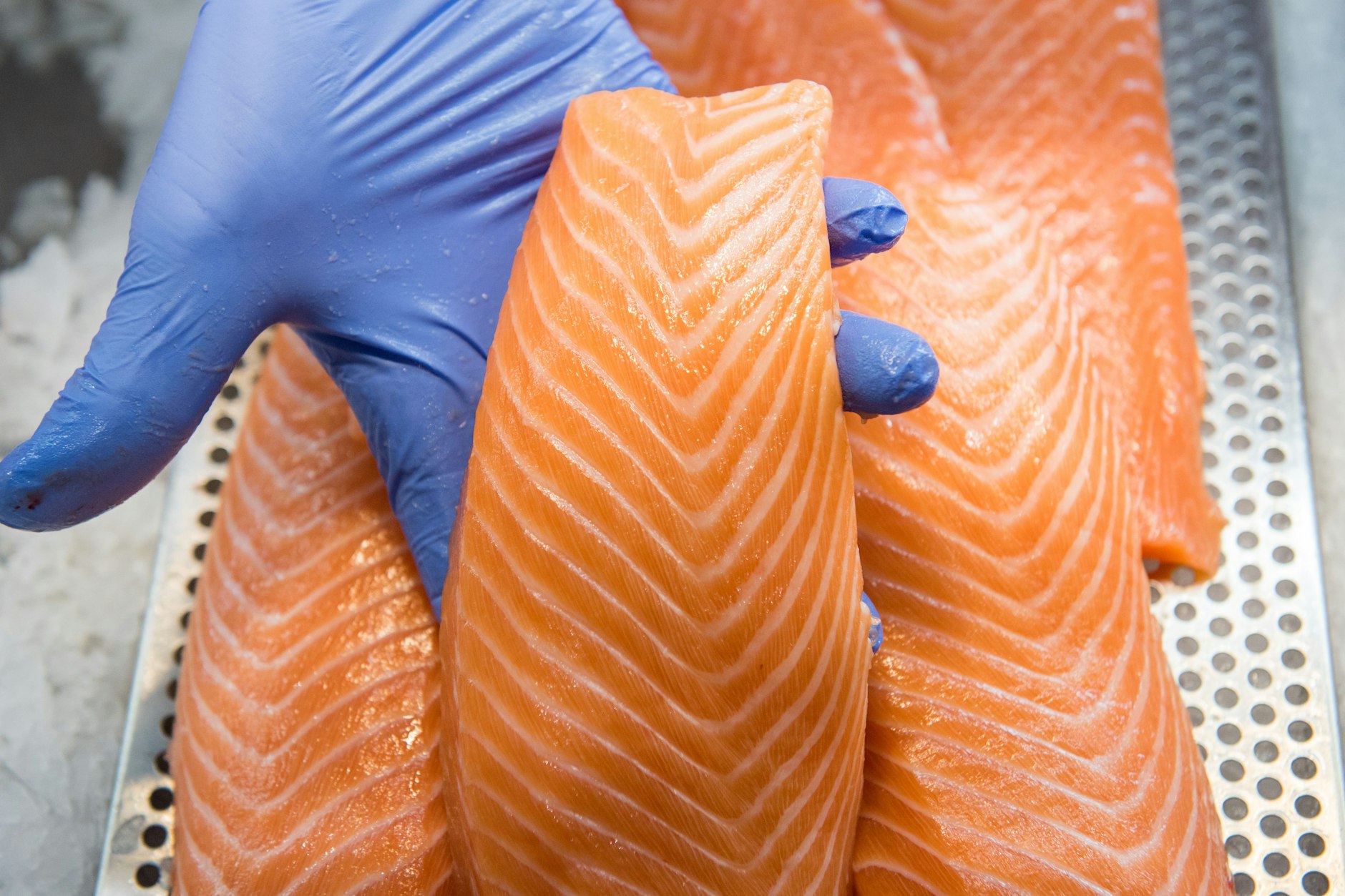 In einigen Proben von Lachs sind Listerien festgestellt worden.