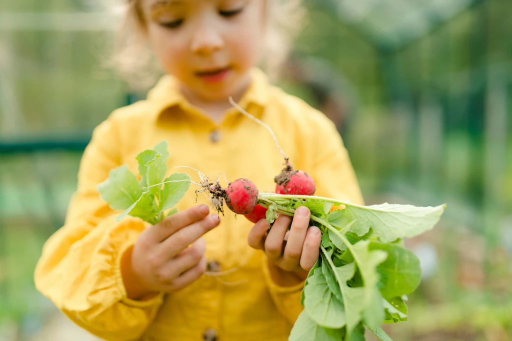 Etatkürzungen in der Ernährungsbildung: Erneut trifft es die Schwächsten unserer Gesellschaft