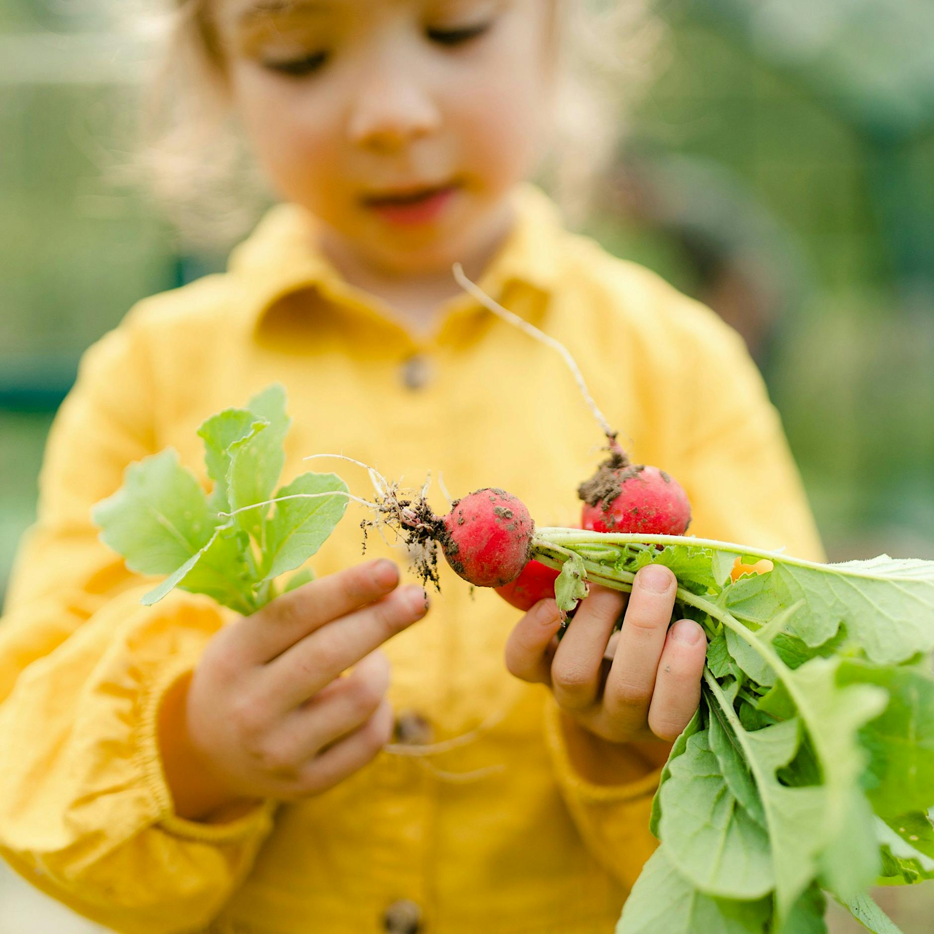 Etatkürzungen in der Ernährungsbildung in Berlin: Erneut trifft es die Schwächsten unserer Gesellschaft