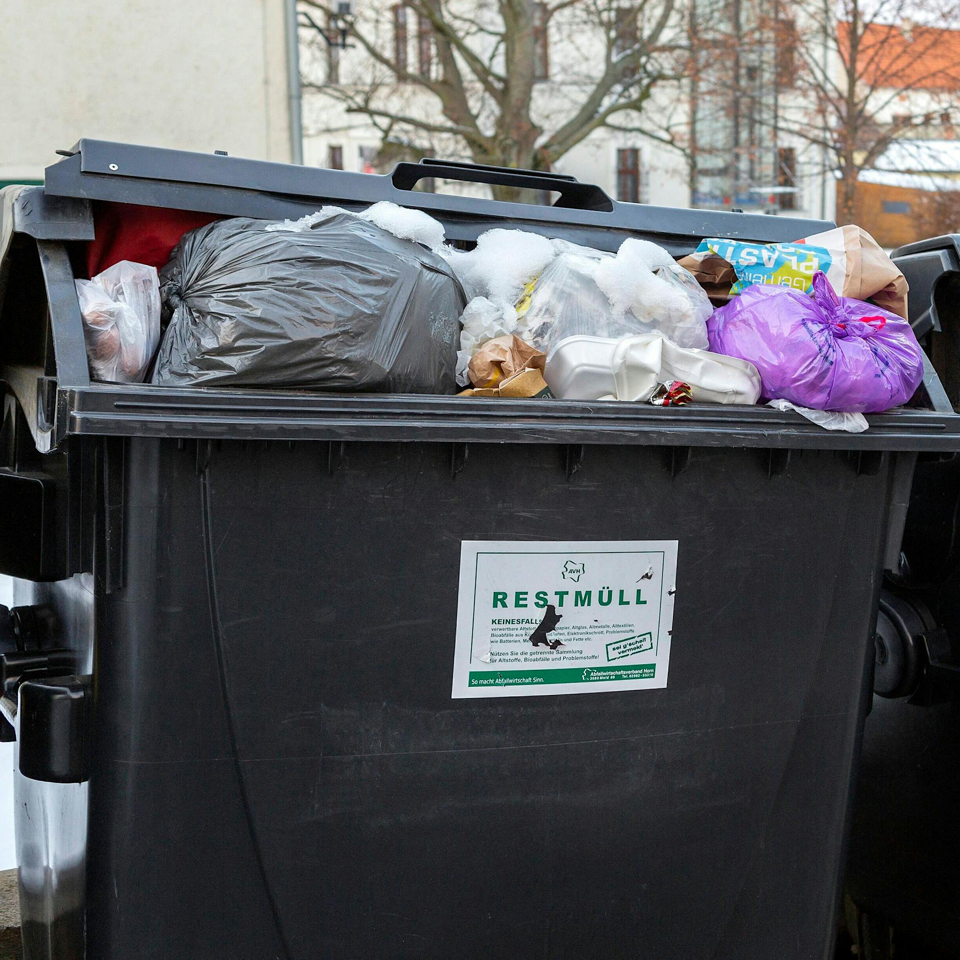 Neues Restmüll-Verbot ab 1. Januar 2025: Das müssen Sie jetzt wissen!