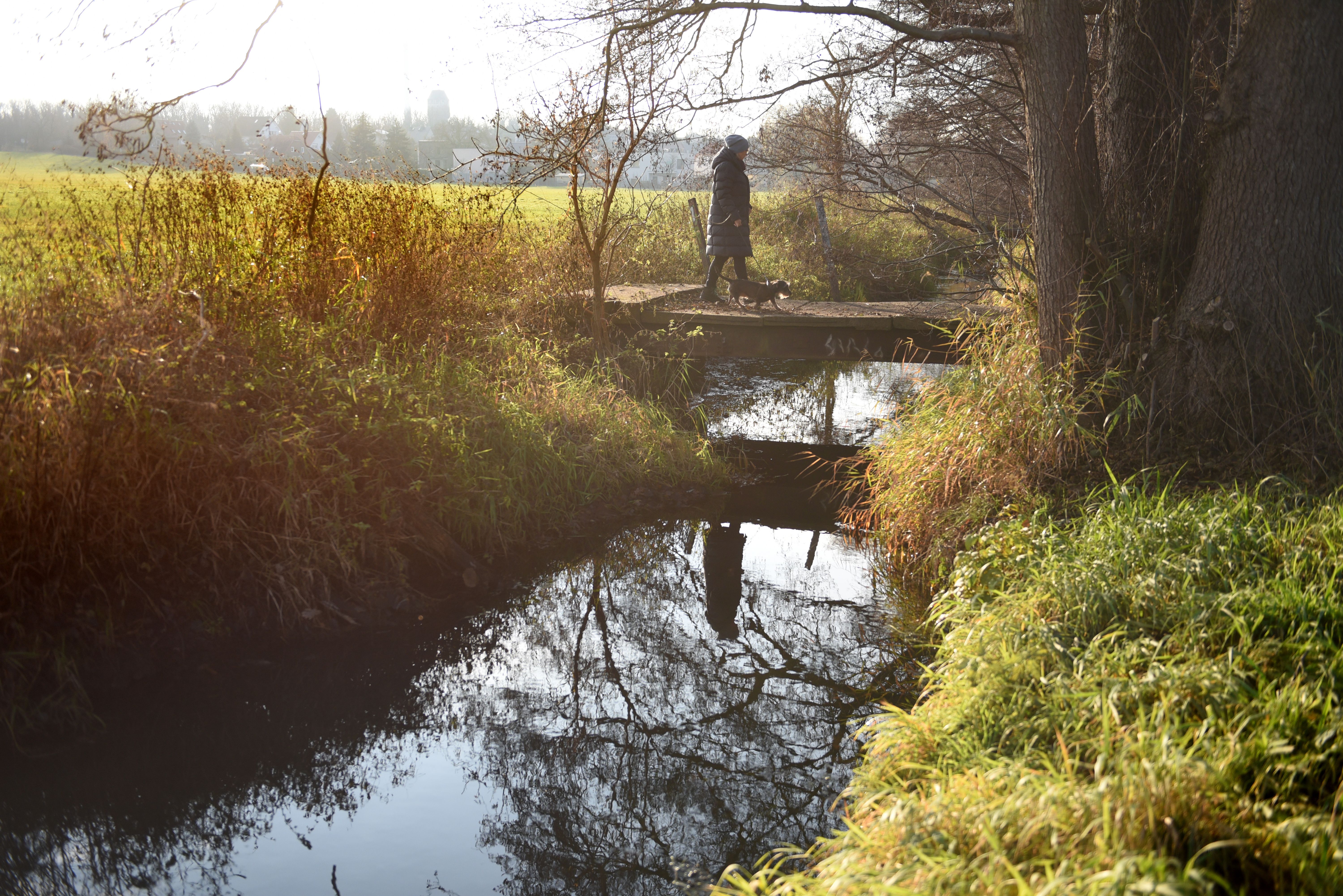 Image - Panke in Berlin: Wie rettet man einen von Menschen zerstörten Fluss?