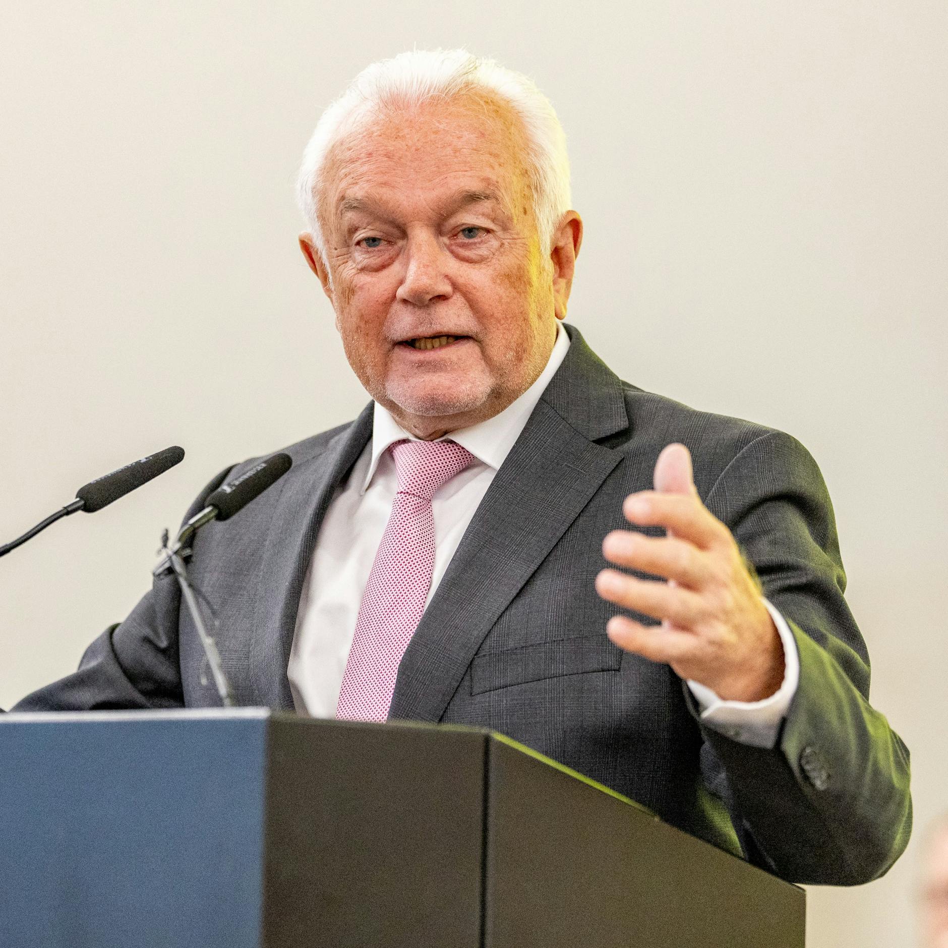 Image - Wolfgang Kubicki nach Habeck-Post angezeigt: Das sagt der FDP-Mann