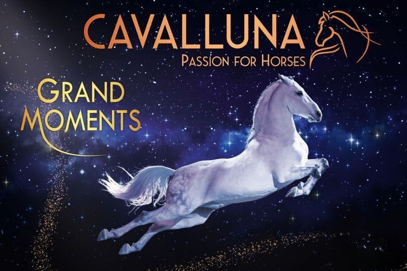 Die Kunst der Reiterei in ihrer schönsten Form: CAVALLUNA – Grand Moments. Erleben Sie Emotionen auf Hufen. Unbedingt anschauen!