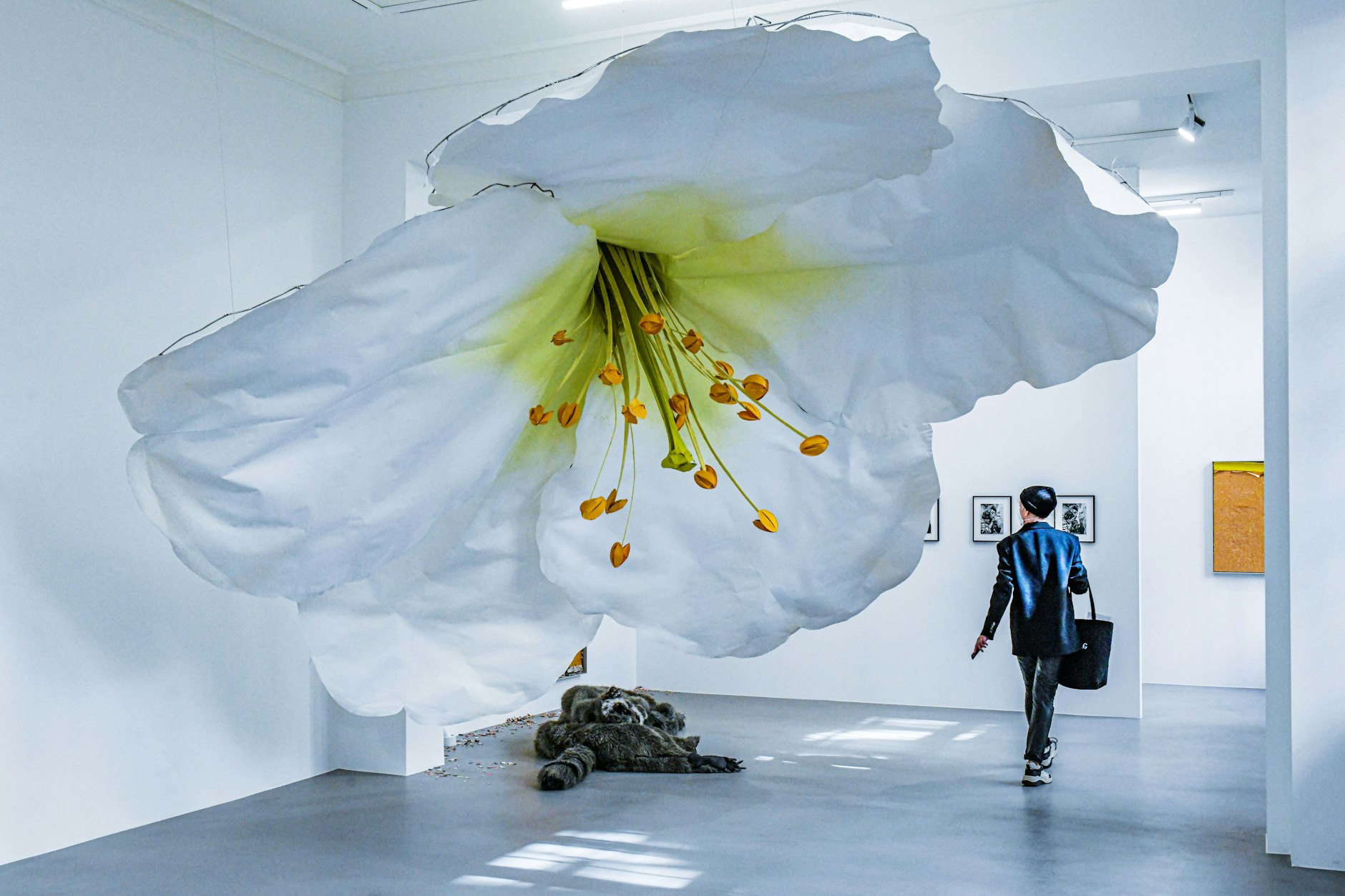 Ein Werk von Petrit Halilaj in der Galerie ChertLüdde