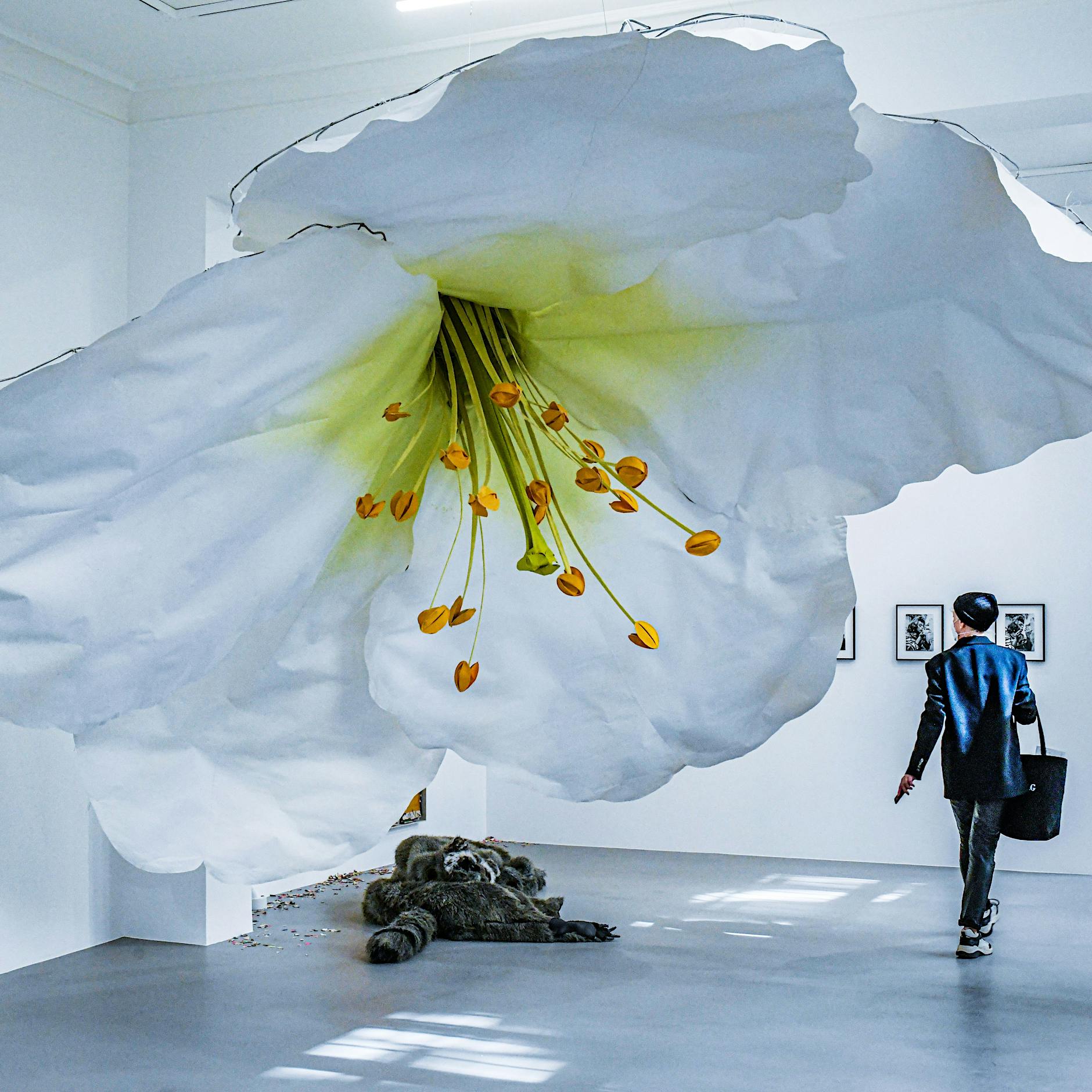 Nach Sparhammer: Für die Kunst in Berlin kommt diese Gesetzesänderung genau zur rechten Zeit