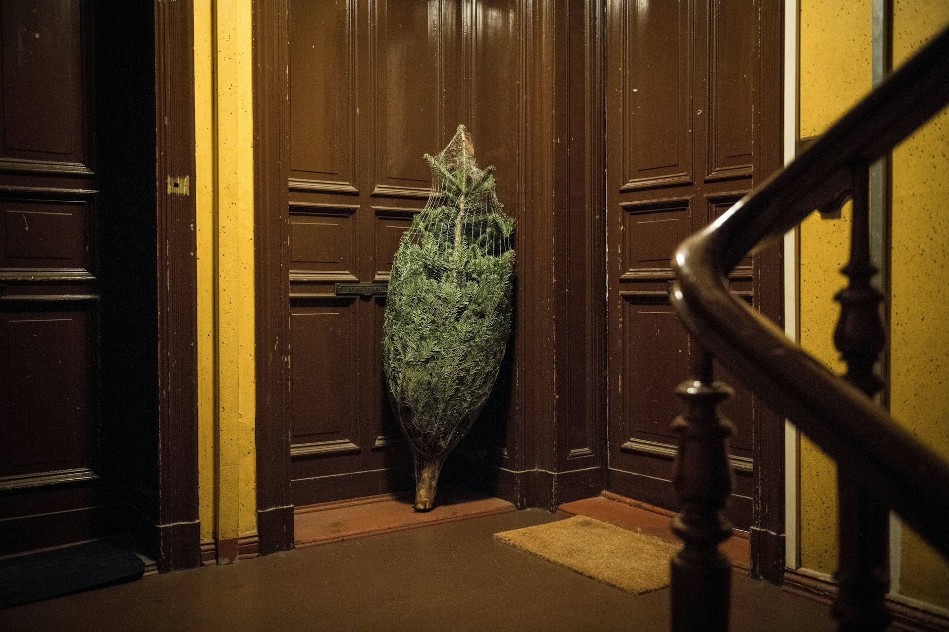 Ein plötzlicher Temperaturwechsel kann den Baum stressen und austrocknen lassen. Langsam an die Wärme gewöhnt, bleibt er länger frisch – auch wenn der Baum ein wenig traurig vor der Tür aussieht.