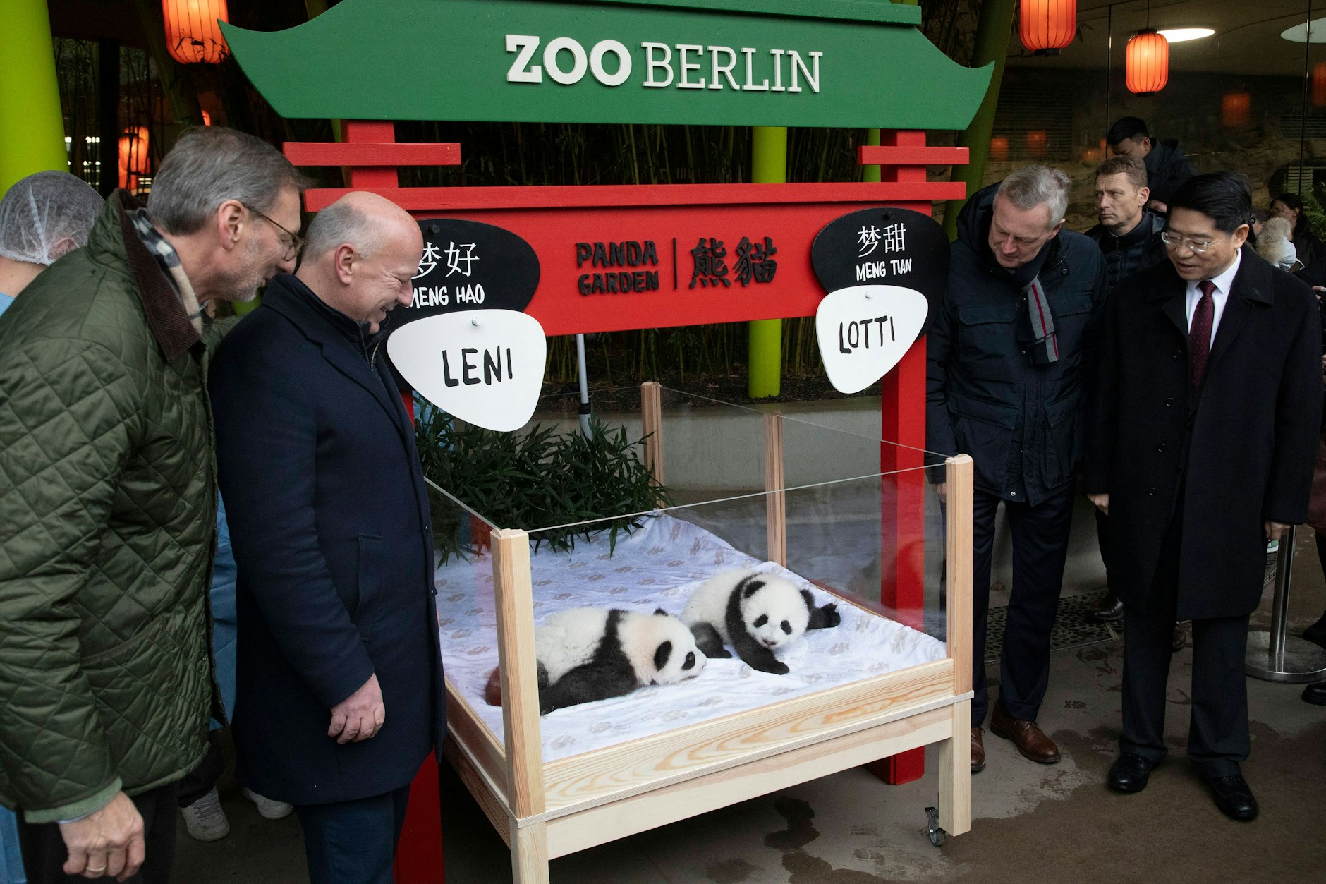 Die Panda-Zwillinge aus dem Berliner Zoo heißen Leni und Lotti. Ob das eine gute Idee war?