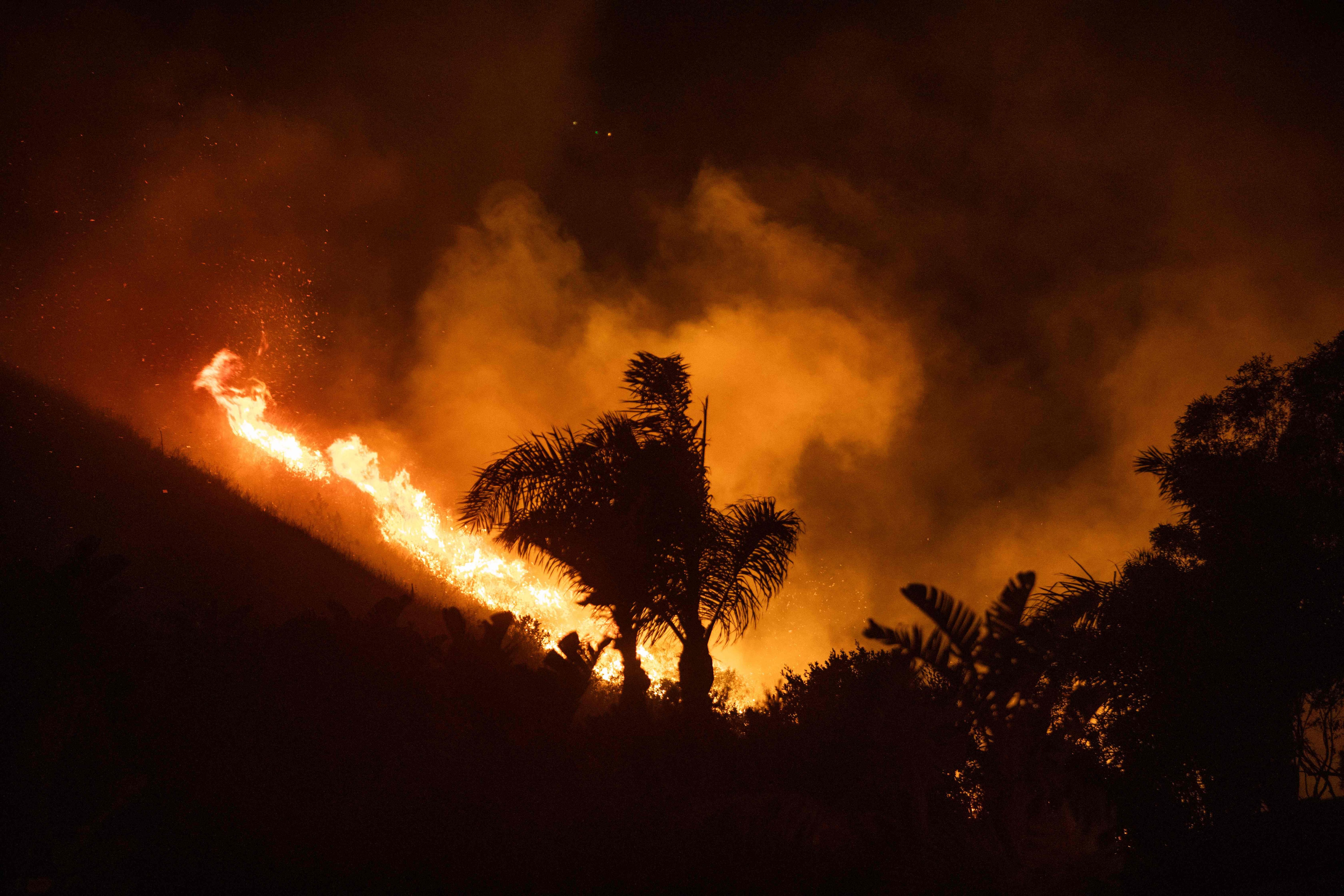 Image - Hollywood-Stars auf der Flucht – in Malibu brennen die Villen