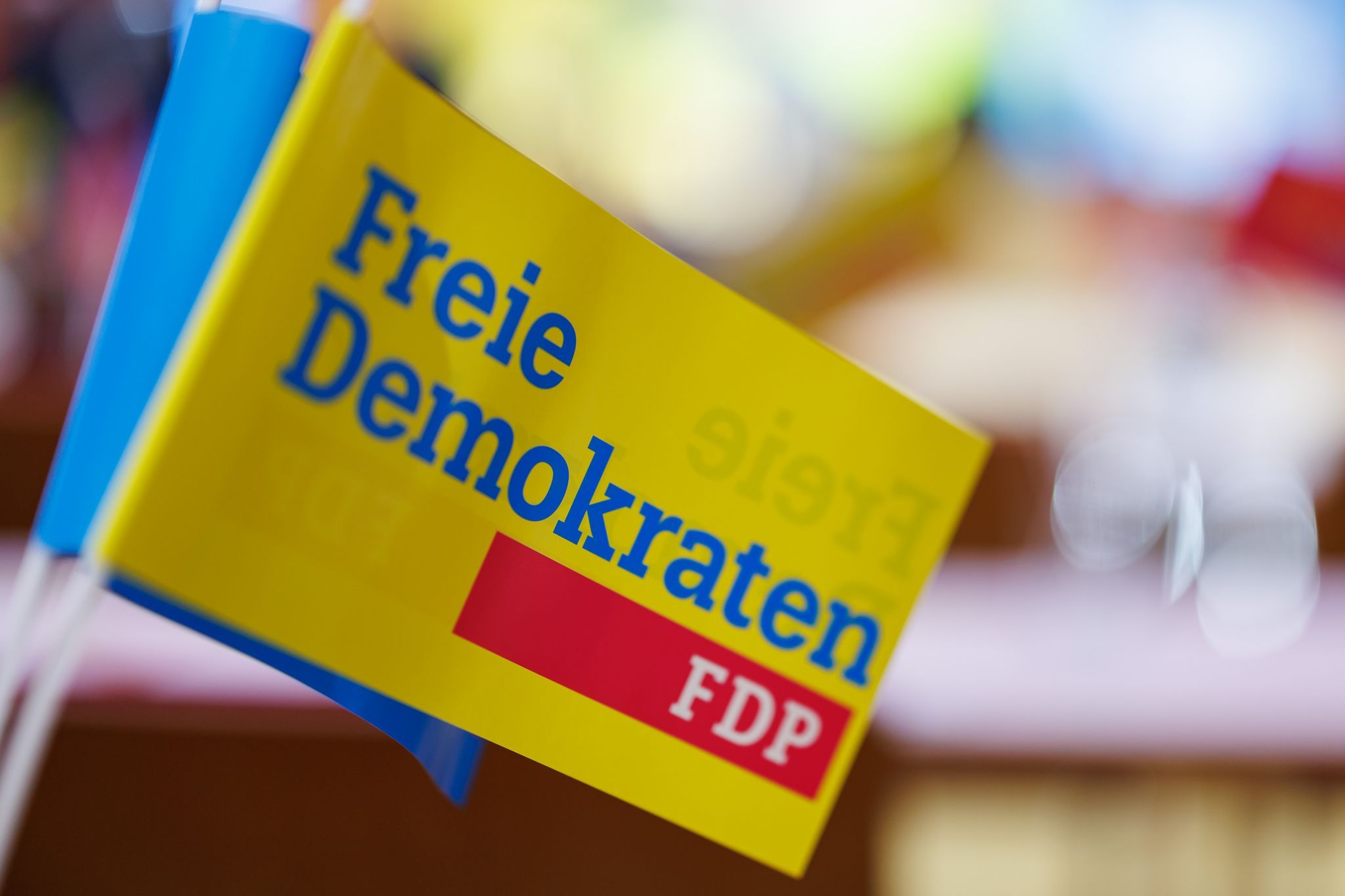 FDP Lichtenberg nominiert Student als Direktkandidat für die Bundestagswahl