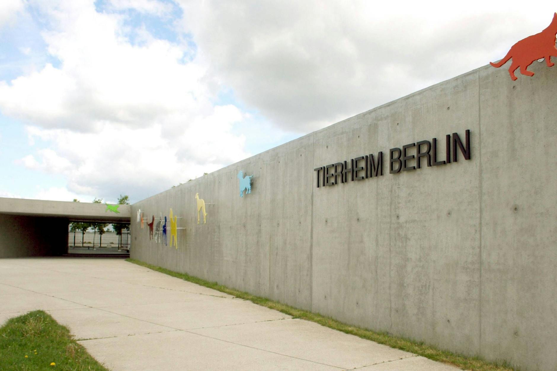 Im Tierheim Berlin in Lichtenberg sind Tiere erkrankt.