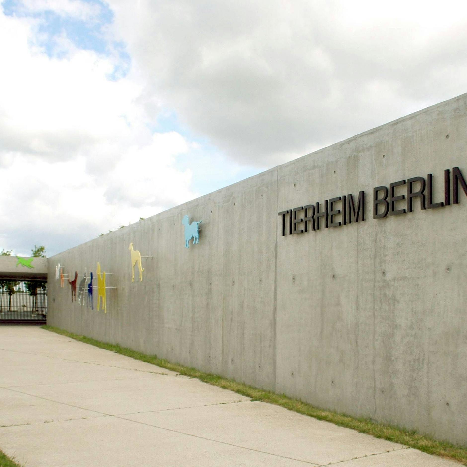 Newcastle-Krankheit im Berliner Tierheim: Sind Besucher jetzt gefährdet?