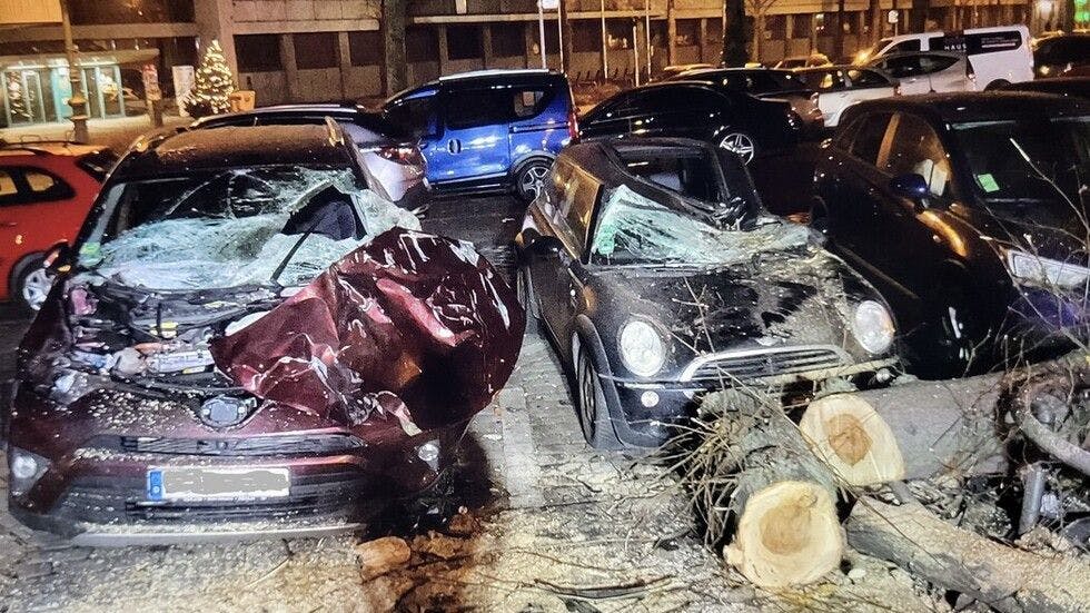Ein umgestürzter Baum krachte auf parkende Autos und demolierte sie erheblich.