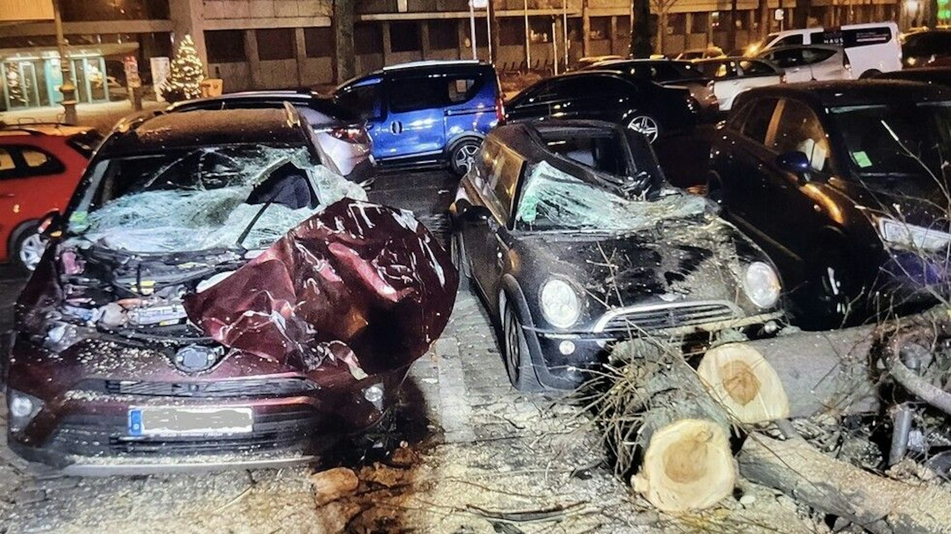 Ein umgestürzter Baum krachte auf parkende Autos und demolierte sie erheblich.
