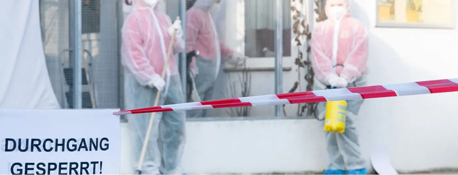 Image - Senat-Sparhammer und Vogelseuche: Tierheim Berlin in Not