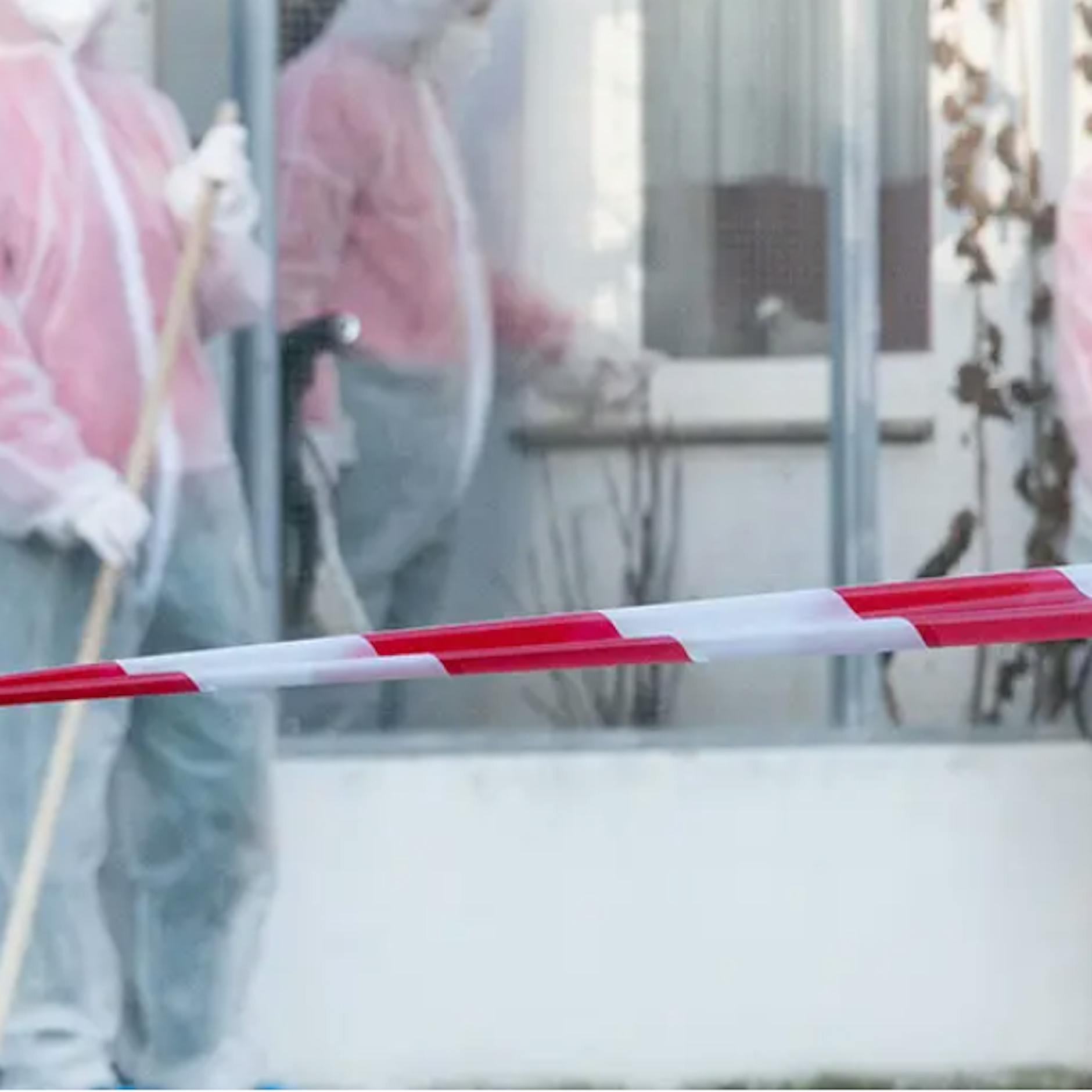 Senat-Sparhammer und Vogelseuche: Tierheim Berlin in Not