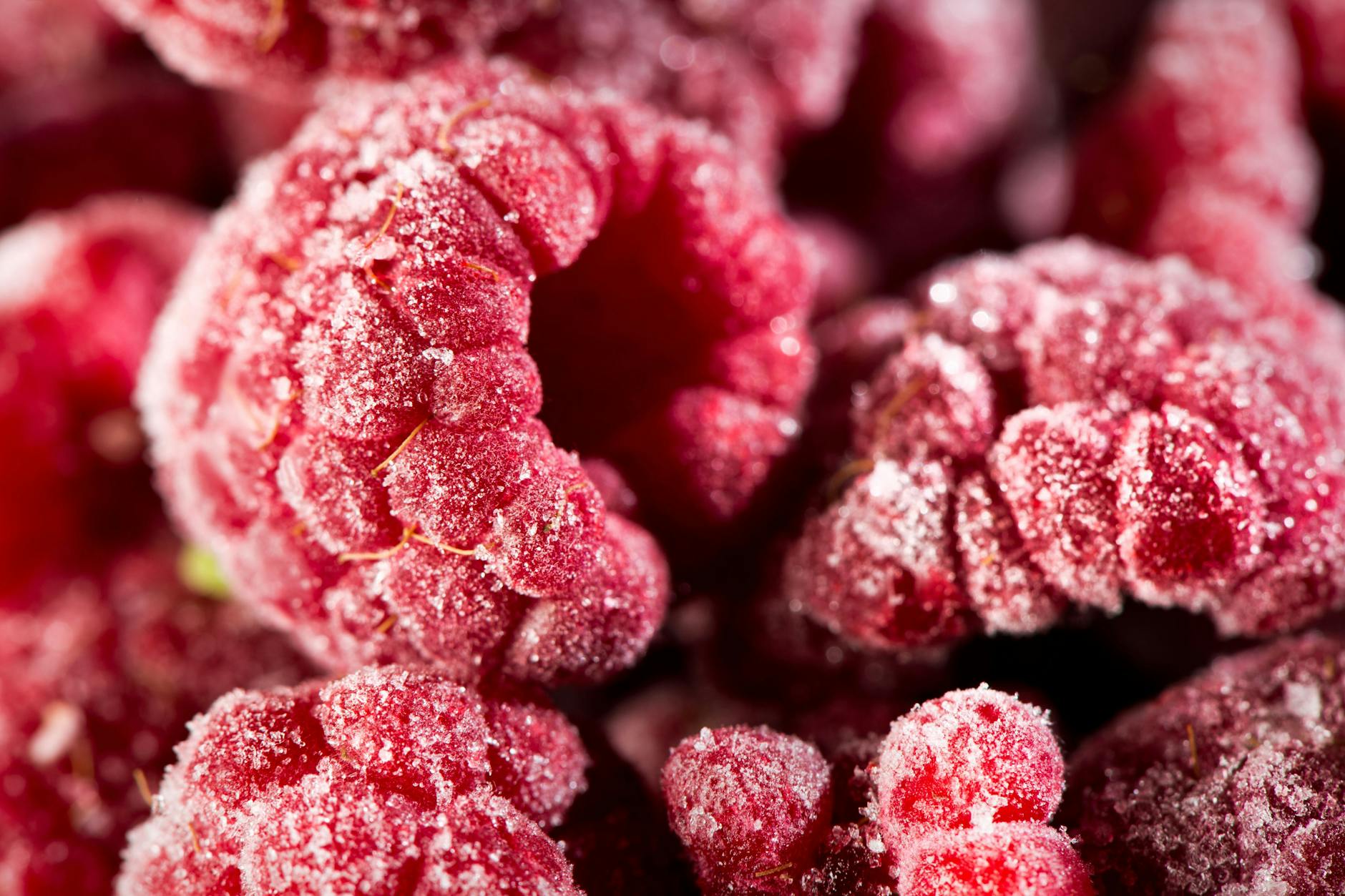 Gefrorene Beeren sind praktisch als Vitaminspender. Doch sie können auch Krankheitserreger enthalten.