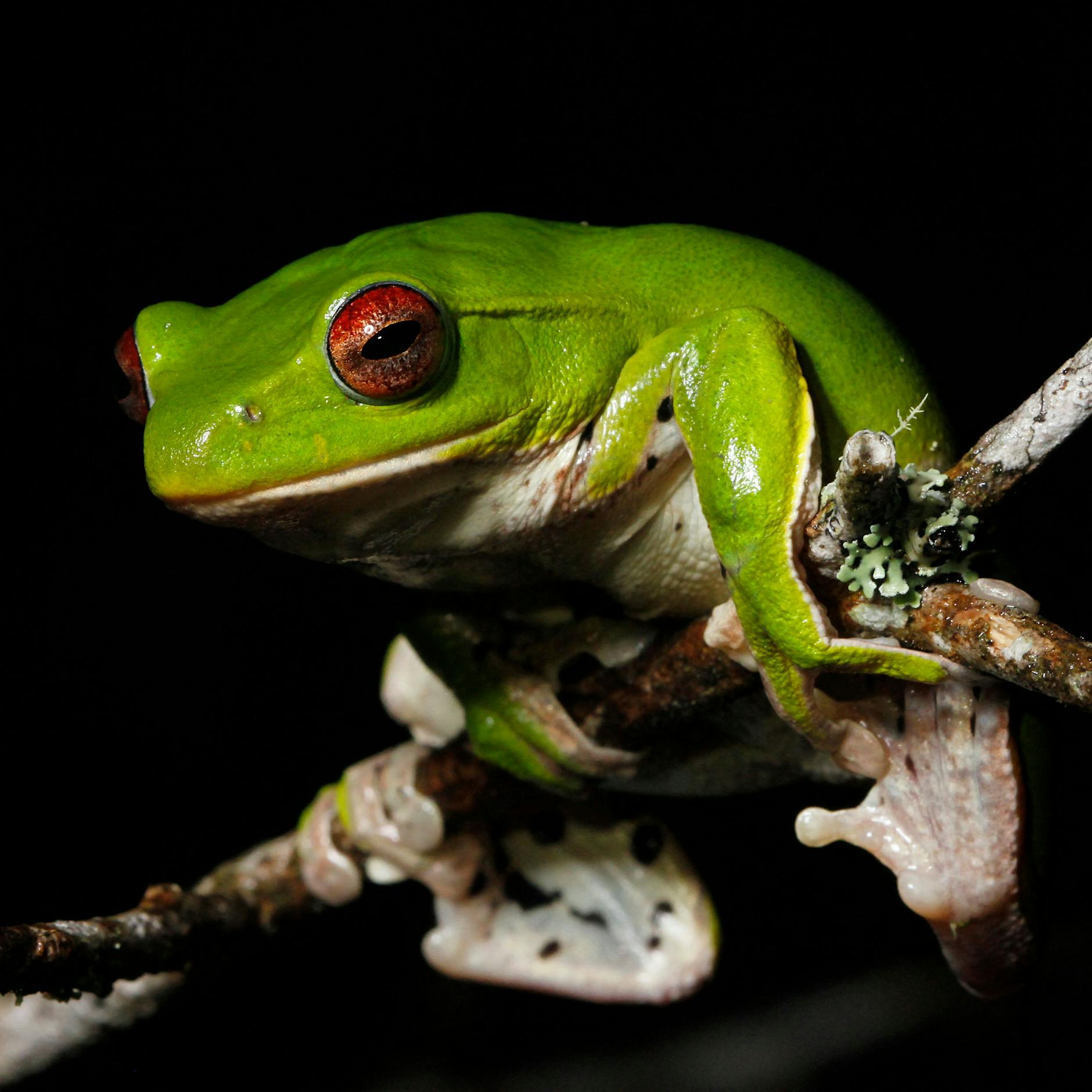 Hallöchen, ich bin einer von den Neuen!