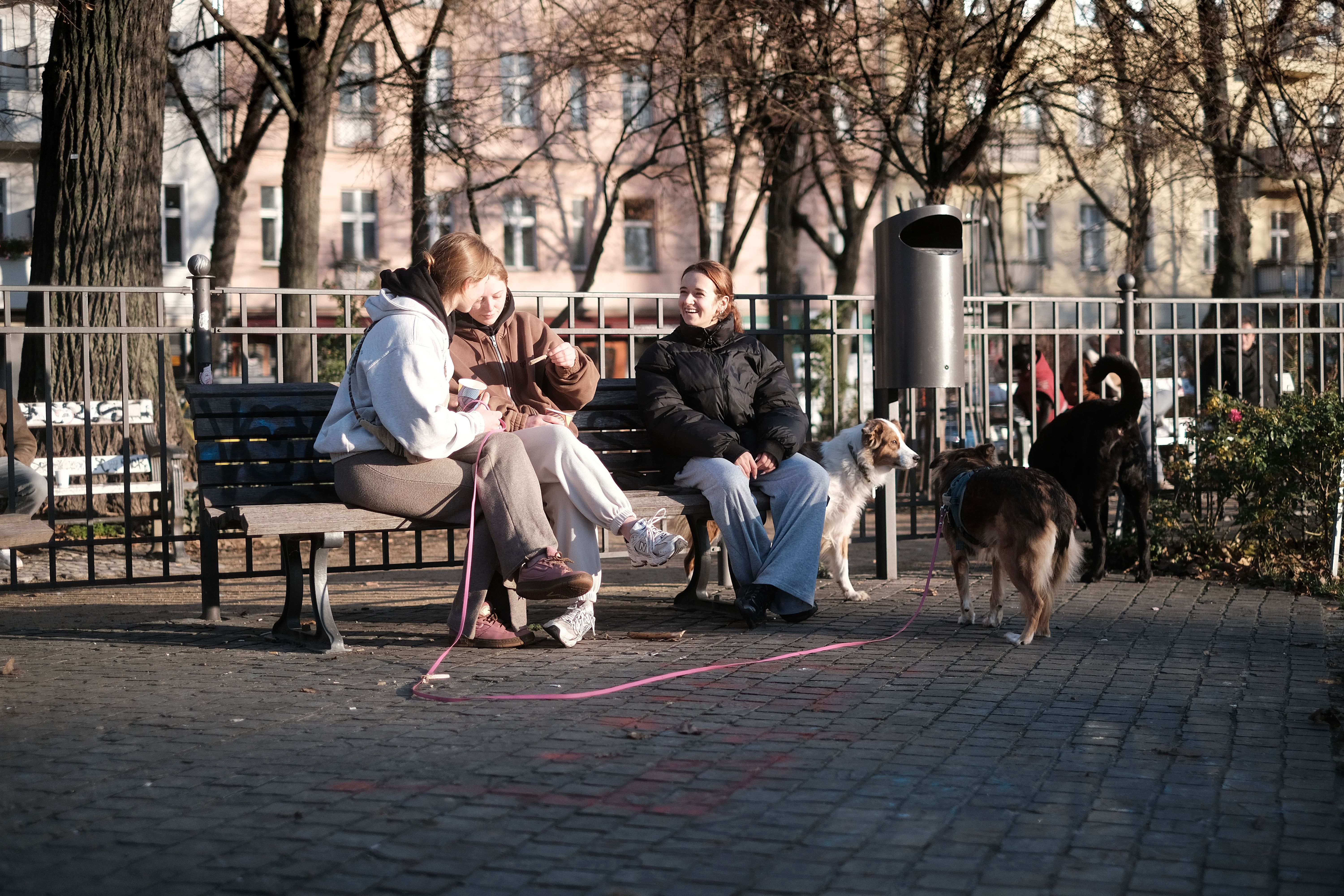 Image - Boxhagener Platz in Berlin-Friedrichshain: Auf welche wundersame Art hier alles seine Ordnung hat
