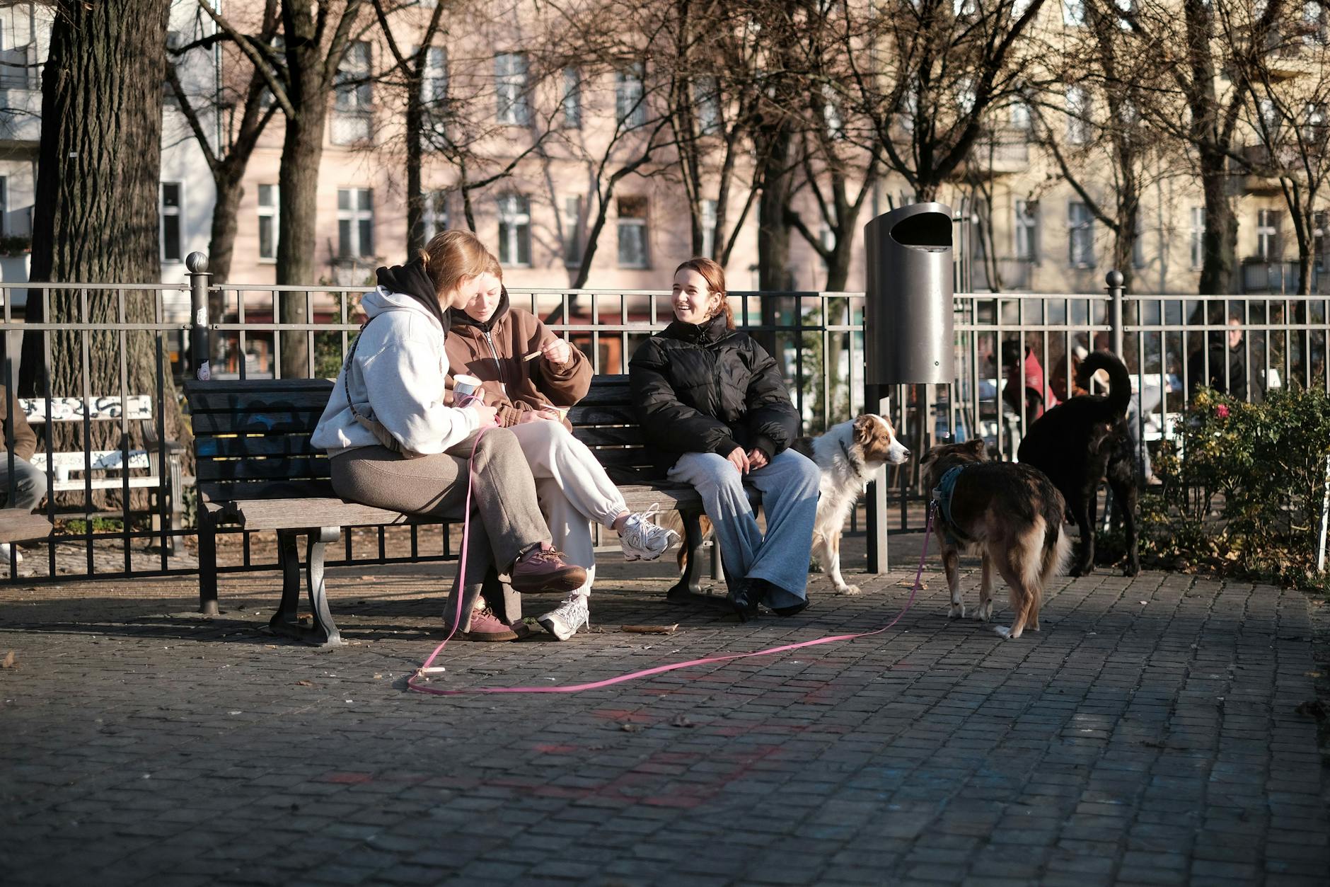 Gut gelaunte Plaudereien: Unter der Woche sind Hunde auf dem Boxhagener Platz allgegenwärtig.