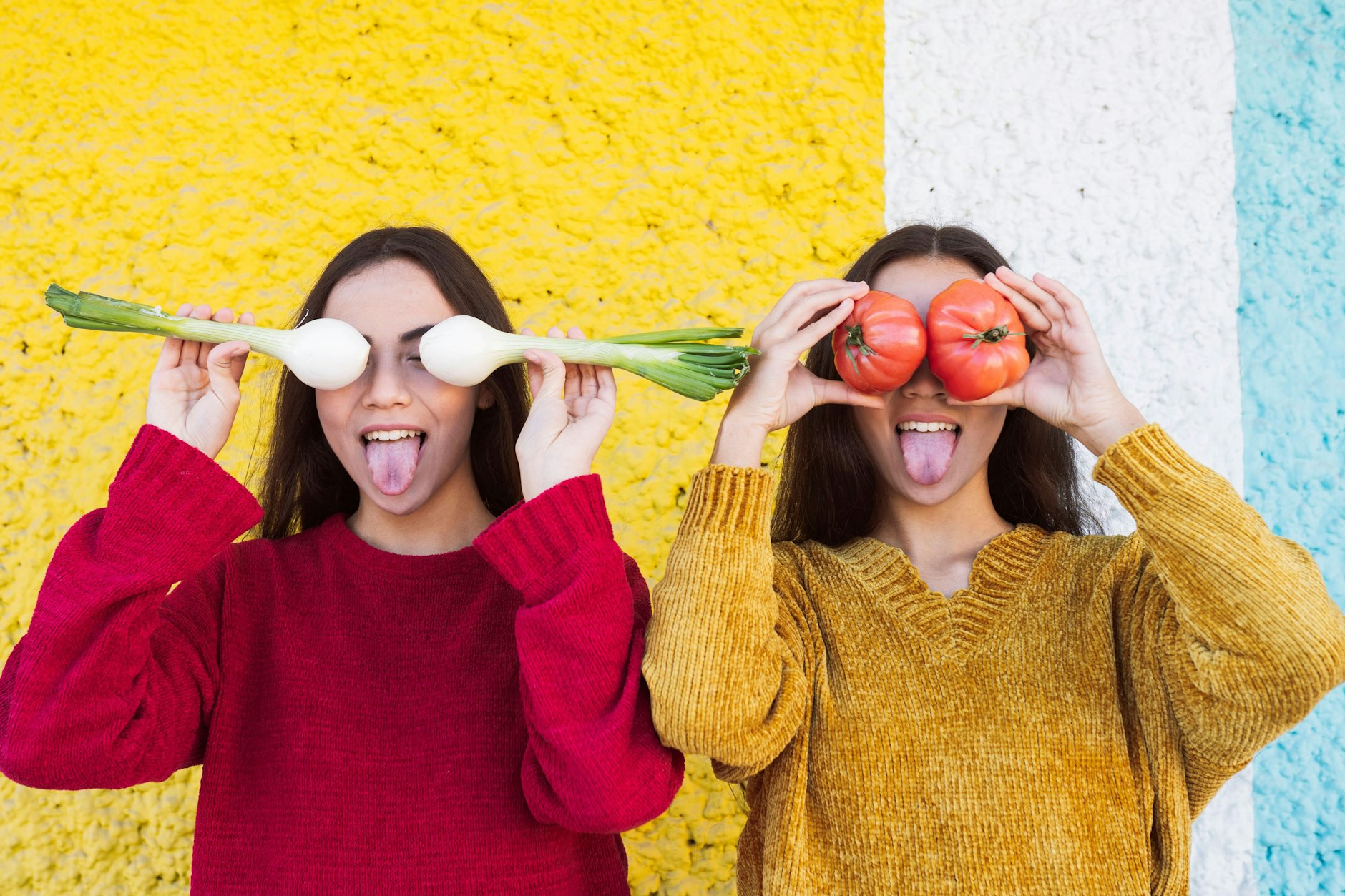 Für ihre Studie über die Auswirkungen veganer Ernährung untersuchten Forscher 22 eineiige Zwillingspärchen.
