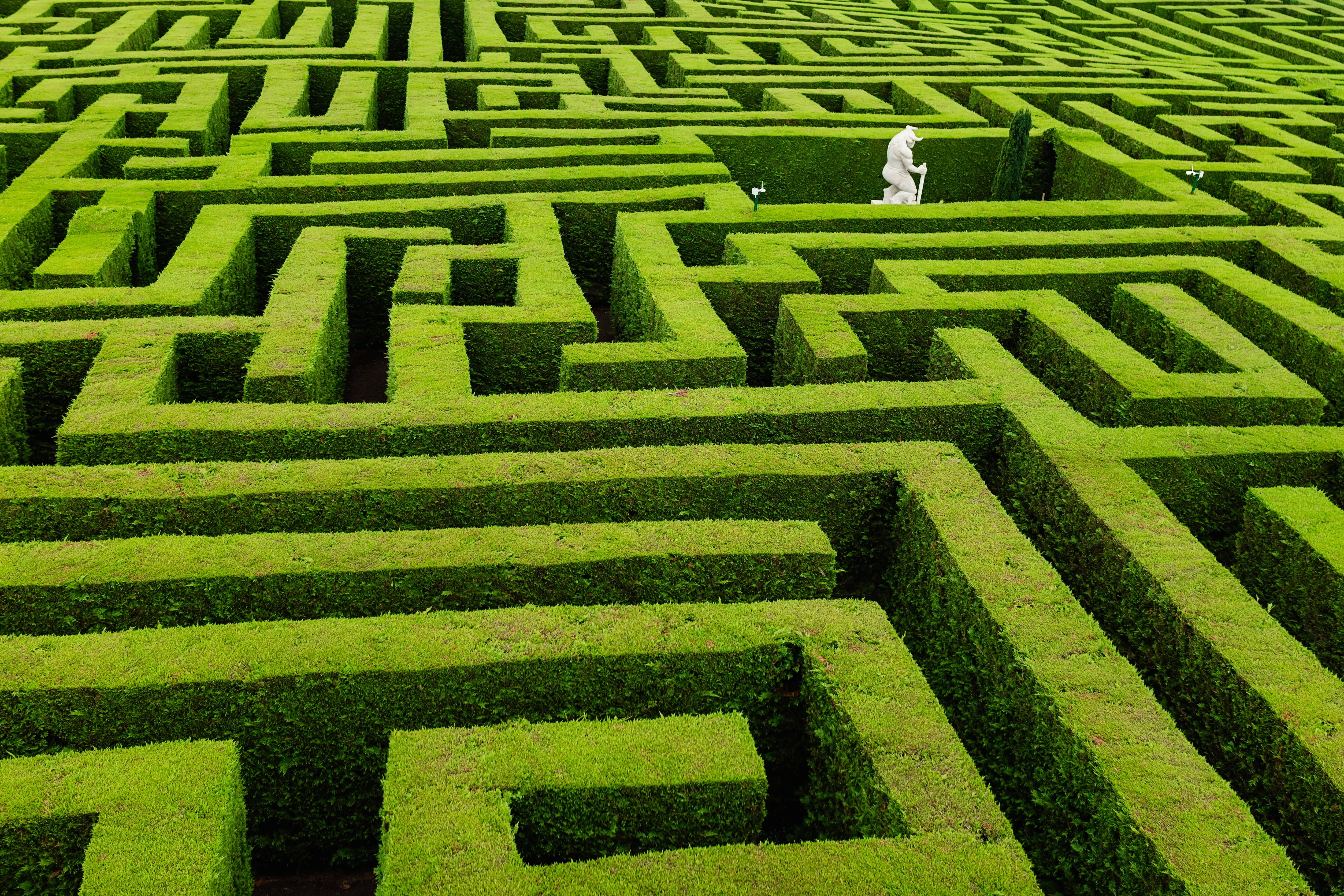 Weihnachtsrätsel: Wer war Lukanfka? Der einzige deutsche Geistesriese kam aus dem Osten