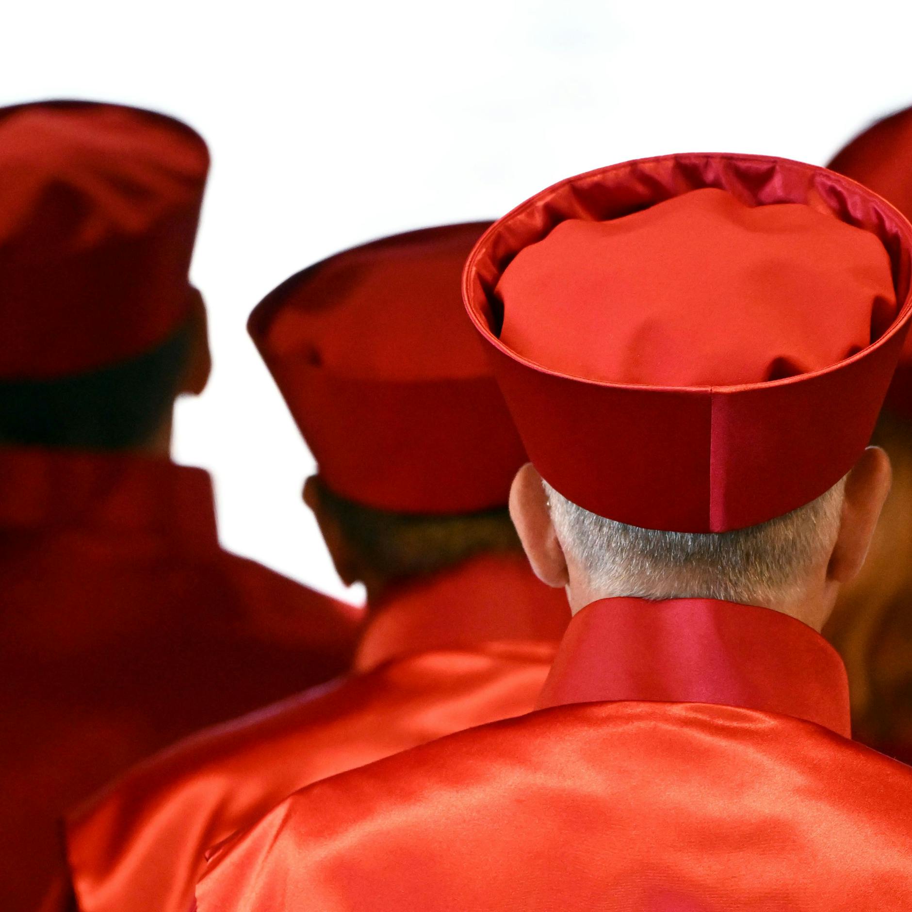 Image - Reform soll Verfassungsgericht vor Einflussnahme schützen: AfD nicht überzeugt