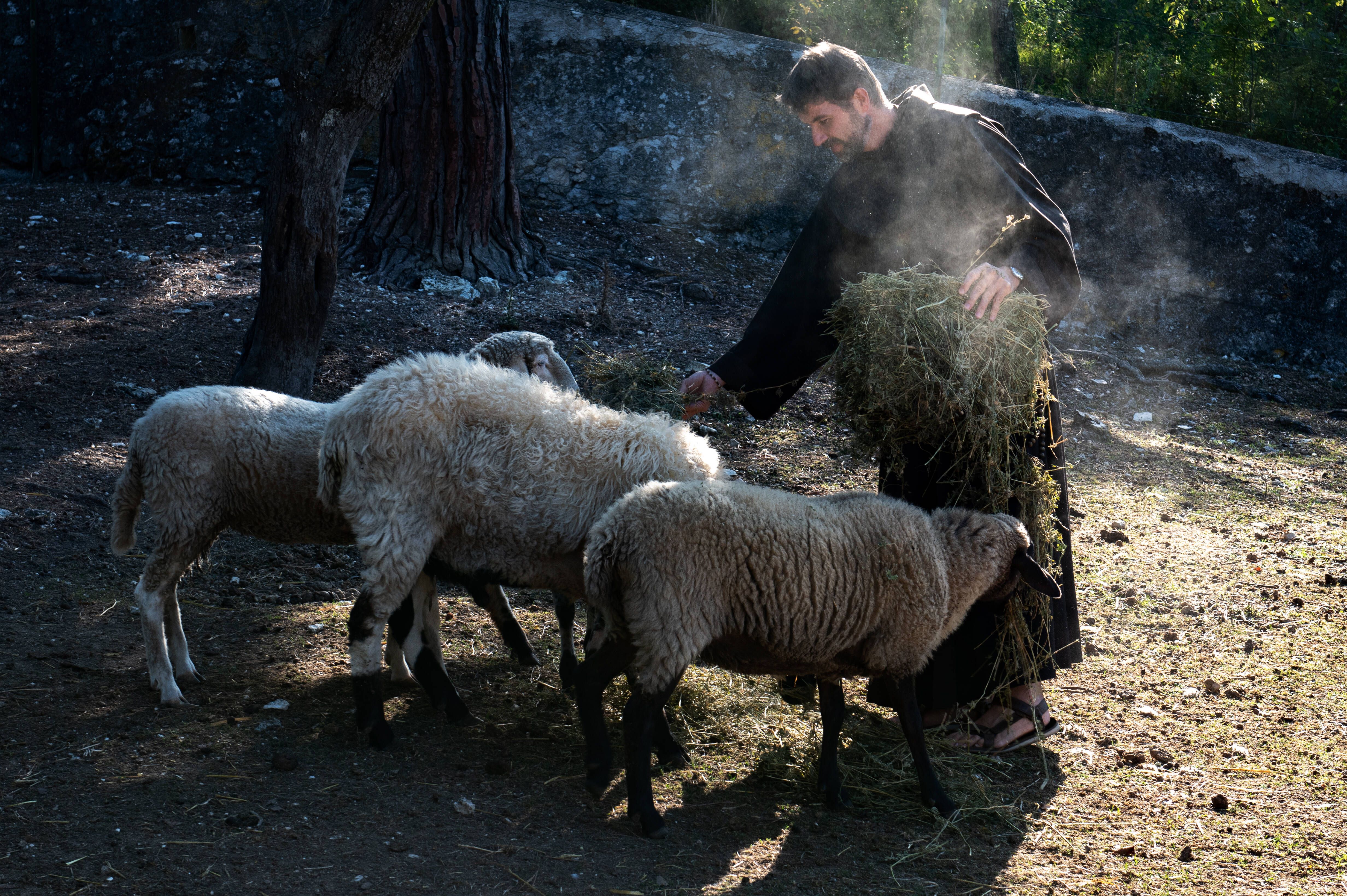 Zu Fuß ins neue Bethlehem: Wo Ochs und Esel ihren ersten Krippeneinsatz hatten