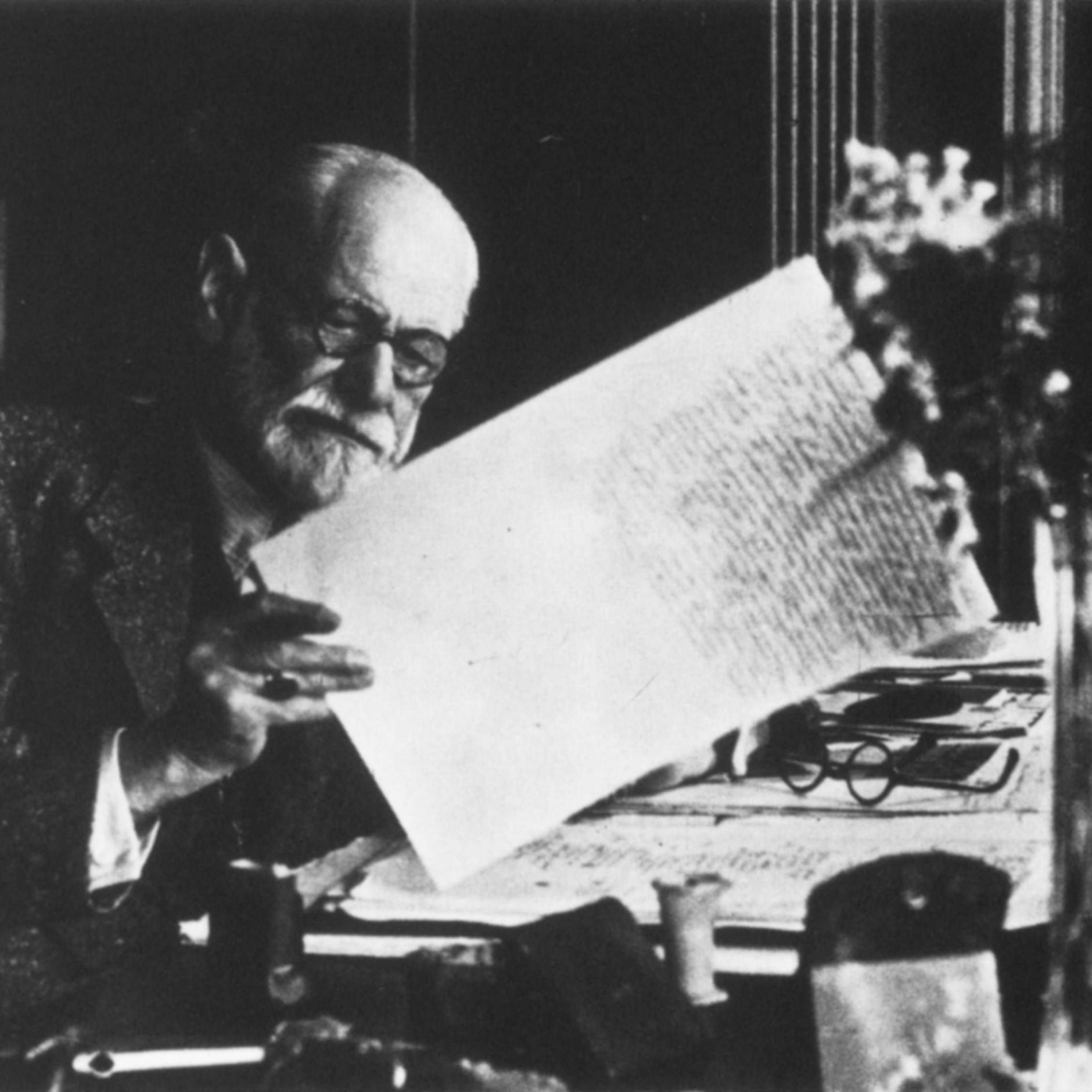 Image - Was passierte, als ich eine besondere Pflanze aus London nach Berlin bringen wollte