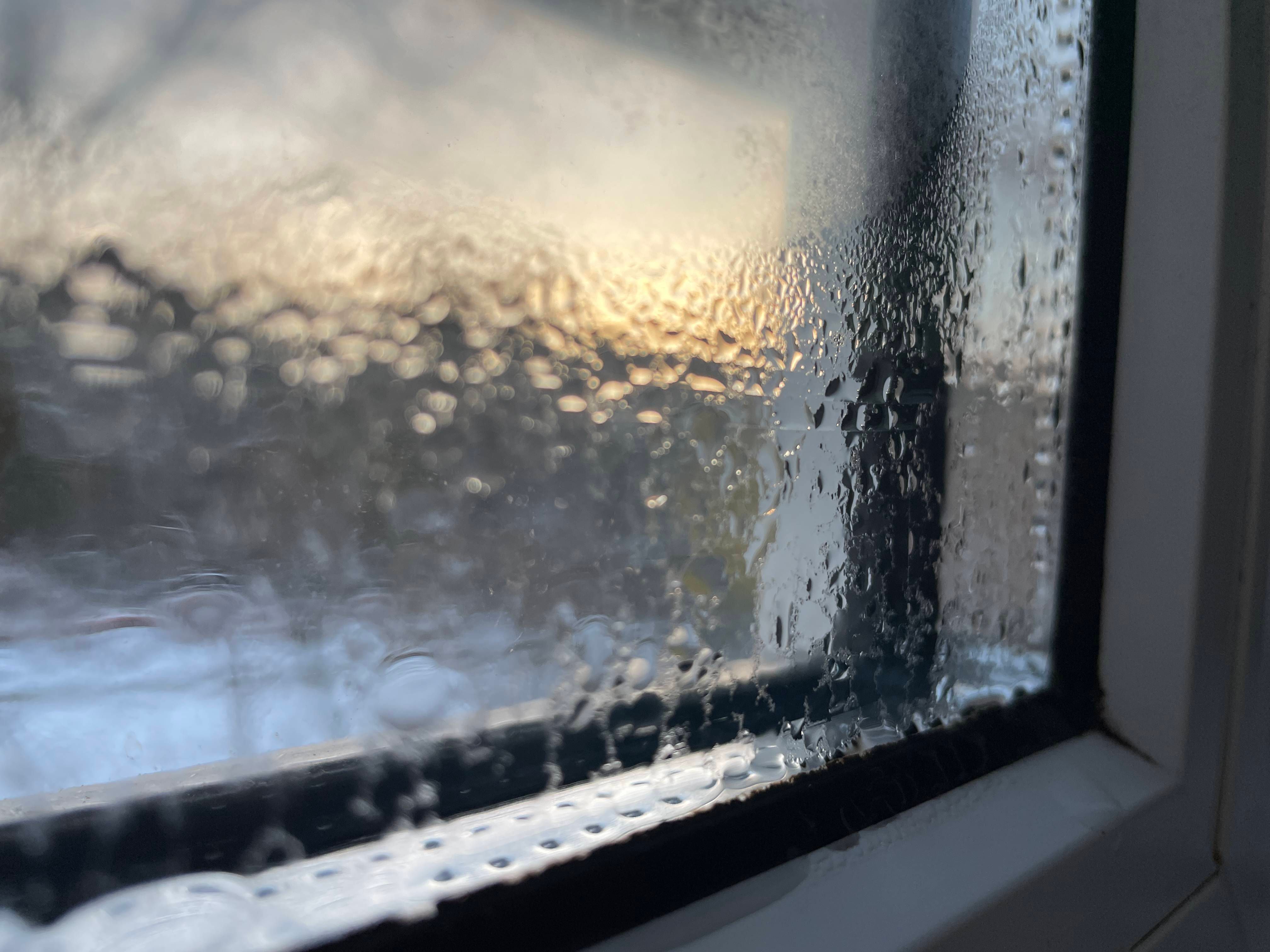 Beschlagene Fenster: Fünf geniale Tricks gegen Kondenswasser an den Scheiben!