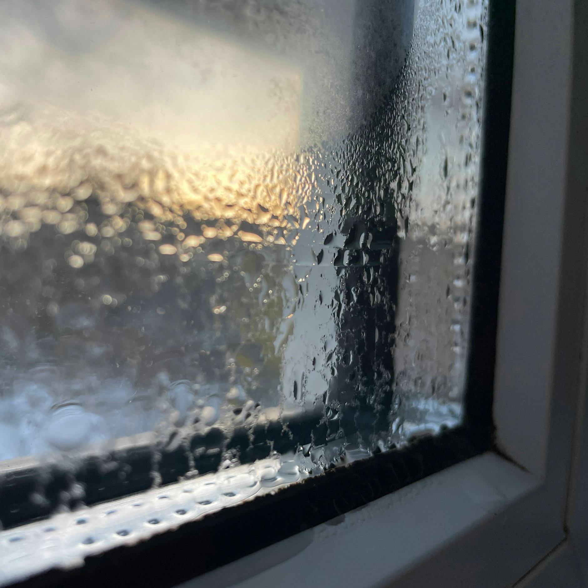 Beschlagene Fenster: Fünf geniale Tricks gegen Kondenswasser an den Scheiben!