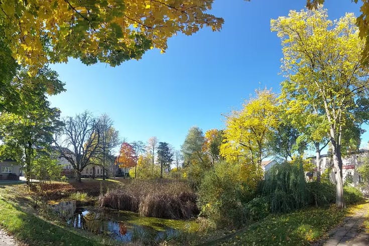 In den kommenden Jahren soll der Dorfanger Bohnsdorf in Treptow-Köpenick umgestaltet werden.