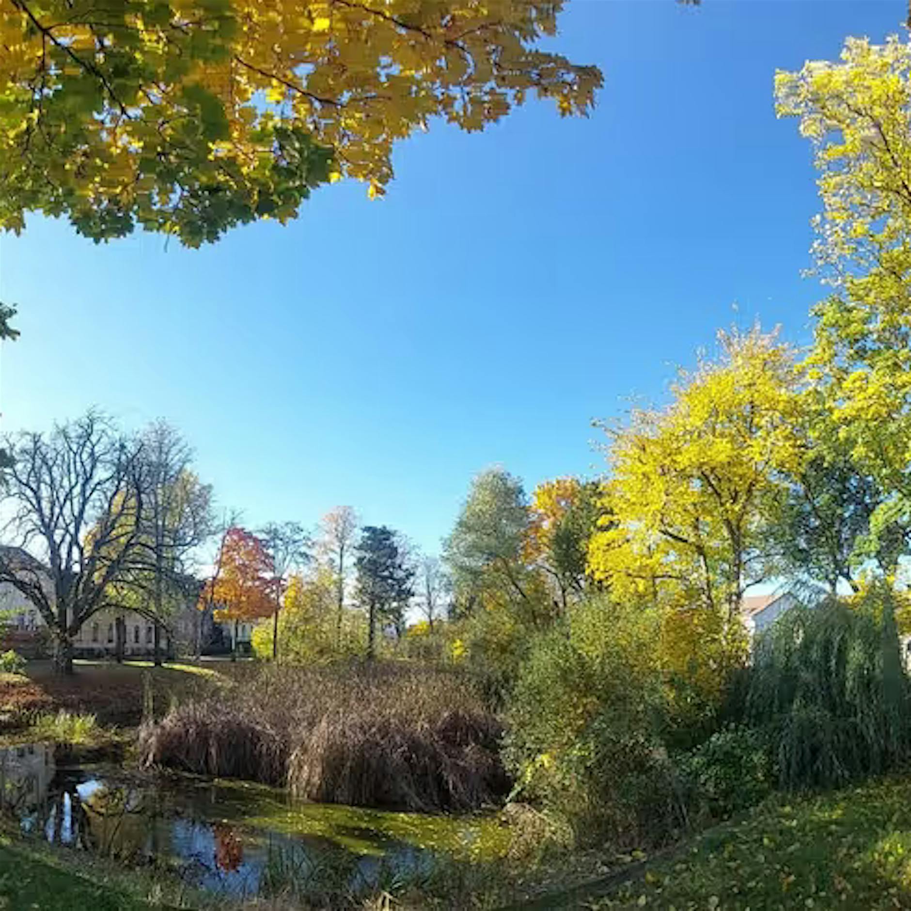 Treptow-Köpenick: Umgestaltung des Dorfangers Bohnsdorf verzögert sich