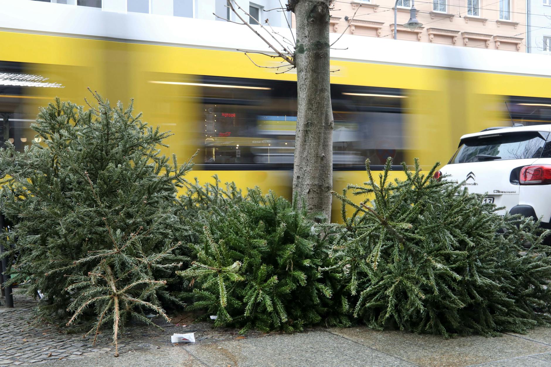 Wann Werden Die Gelben Säcke Abgeholt Ganze Liste nach Bezirken: Wann werden die Weihnachtsbäume abgeholt?